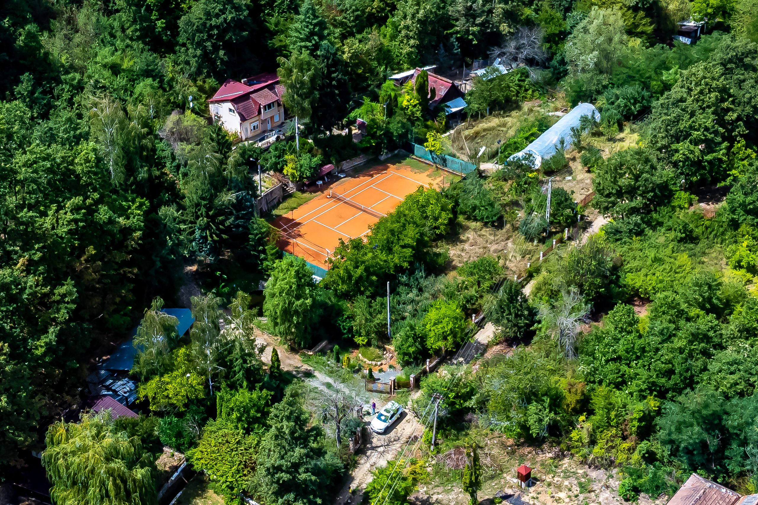 PROPRIETATE VÂNDUTĂ Casă conac cu 15.000 mp deal împădurit la Barațca, — fotografia 9