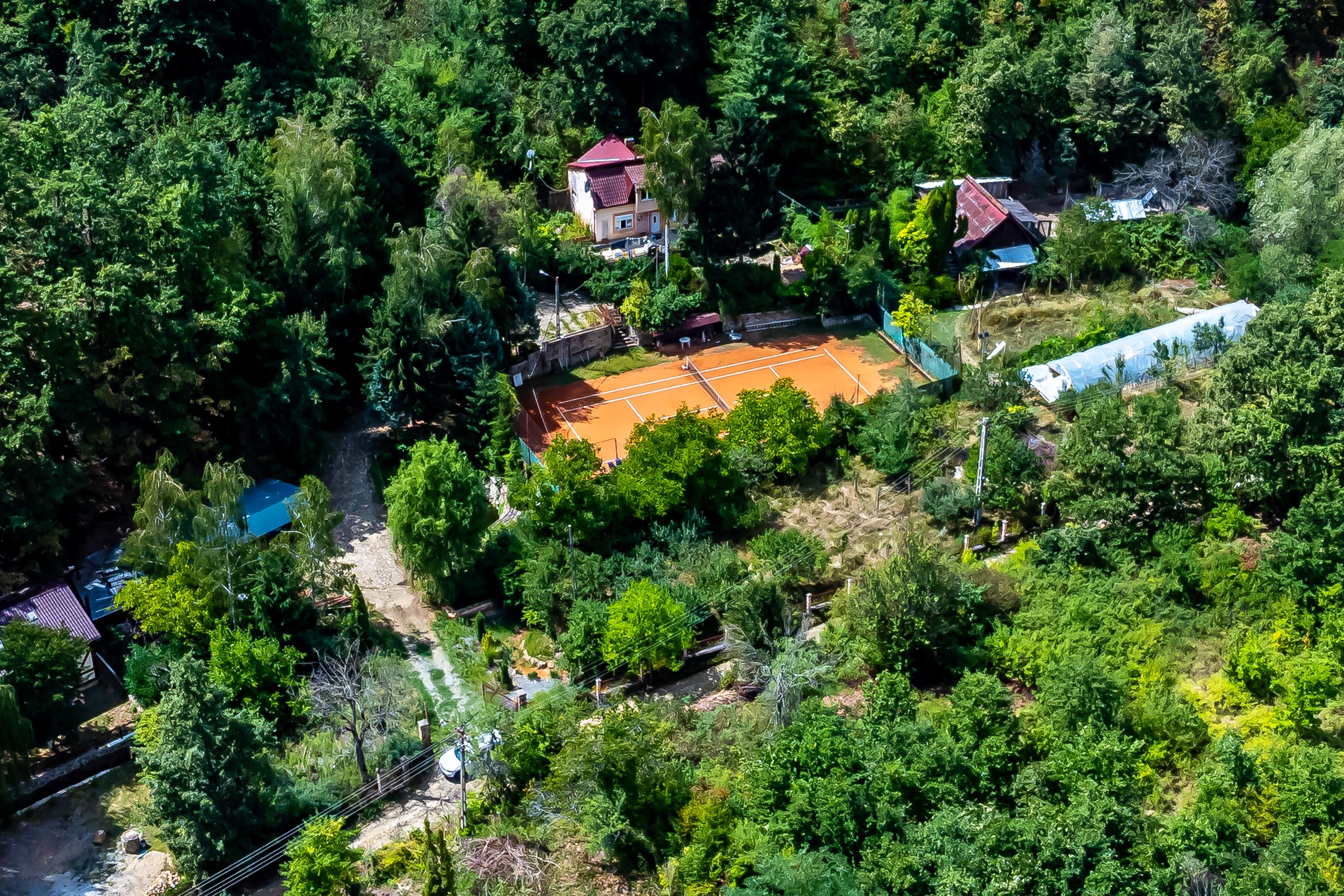 PROPRIETATE VÂNDUTĂ Casă conac cu 15.000 mp deal împădurit la Barațca, — fotografia 12