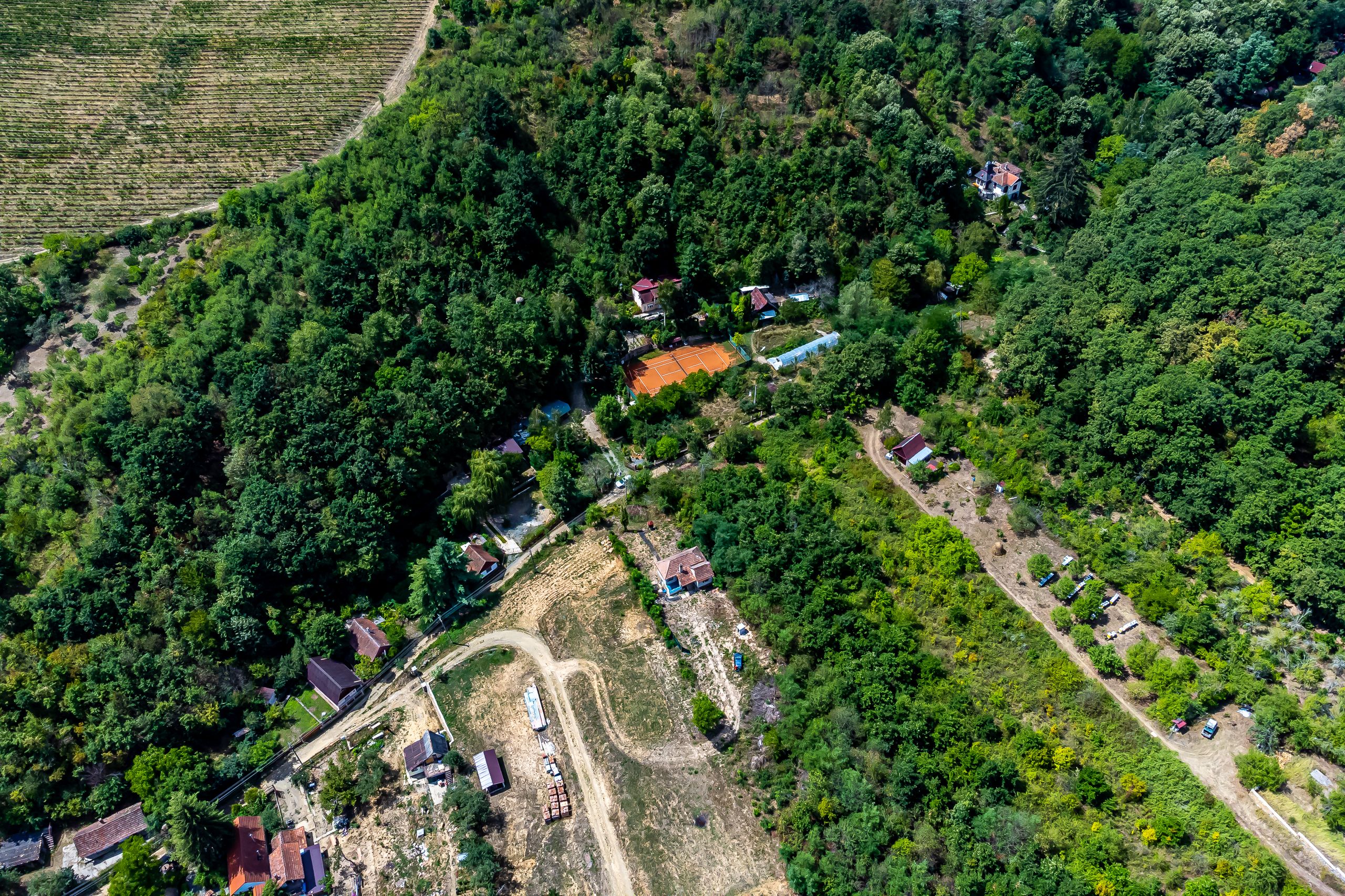 Miniatură 13