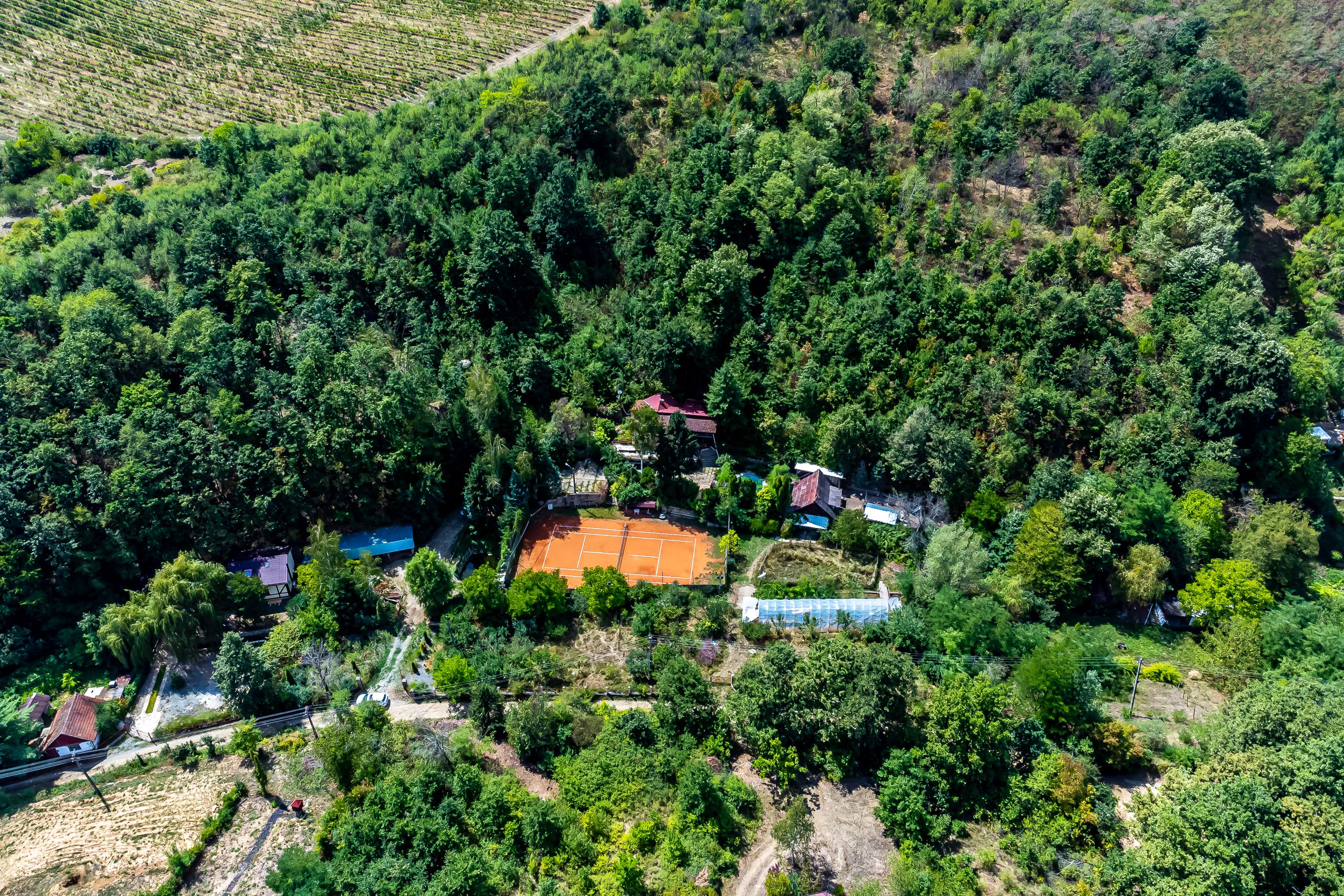 Miniatură 14