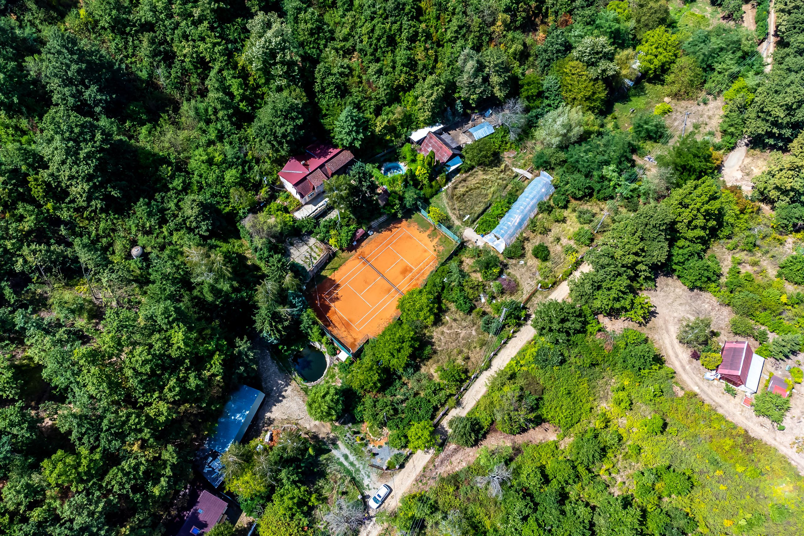 Miniatură 15