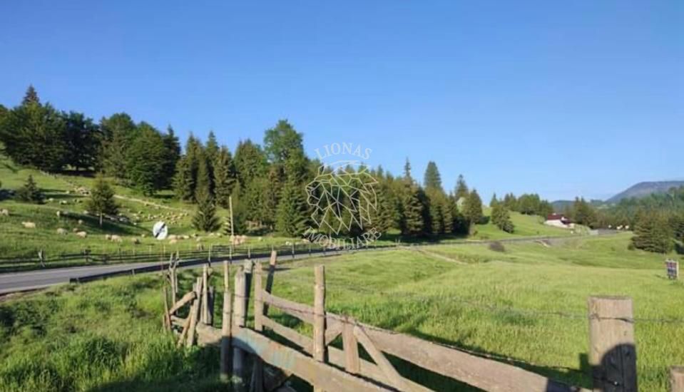 Teren PIATRA FANTANELE - 11.800 mp- ideal investitie, pensiune, hotel