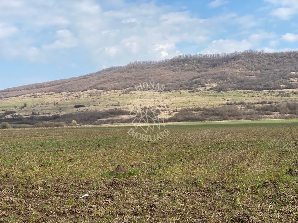 Teren Intravilan-3750mp- zona in plina dezvoltare-Podirei