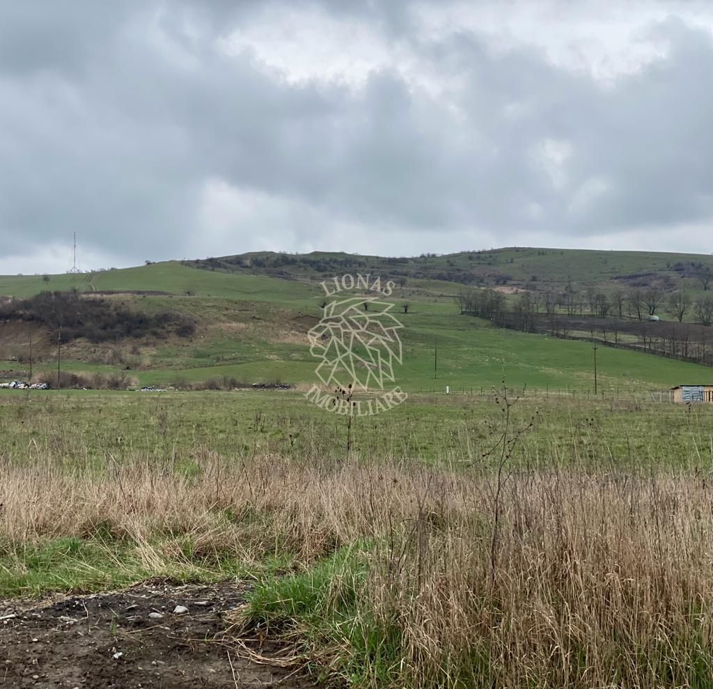 Teren Intravilan 550 mp-ideal casa-Zona Zavoaie