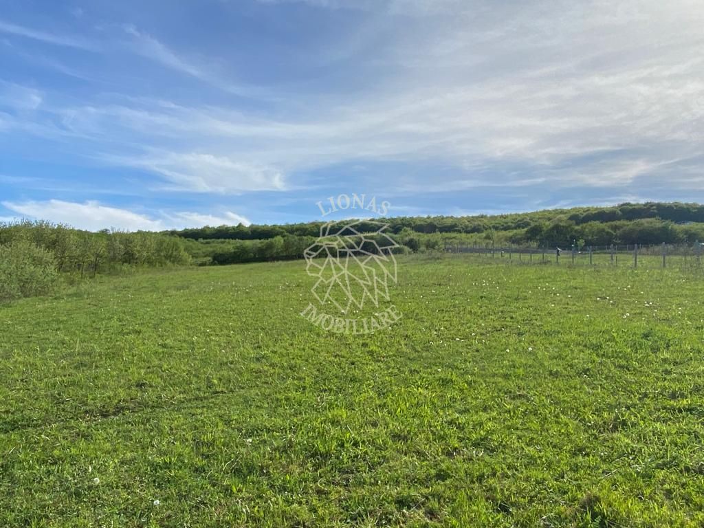 Teren 2160 mp - pretabil pentru cabana - investitie - Jelna