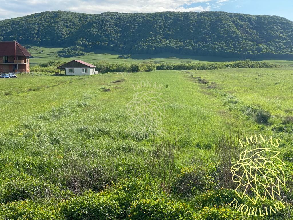 Teren intravilan-Crainimat -3000mp-ideal investitie construire casa