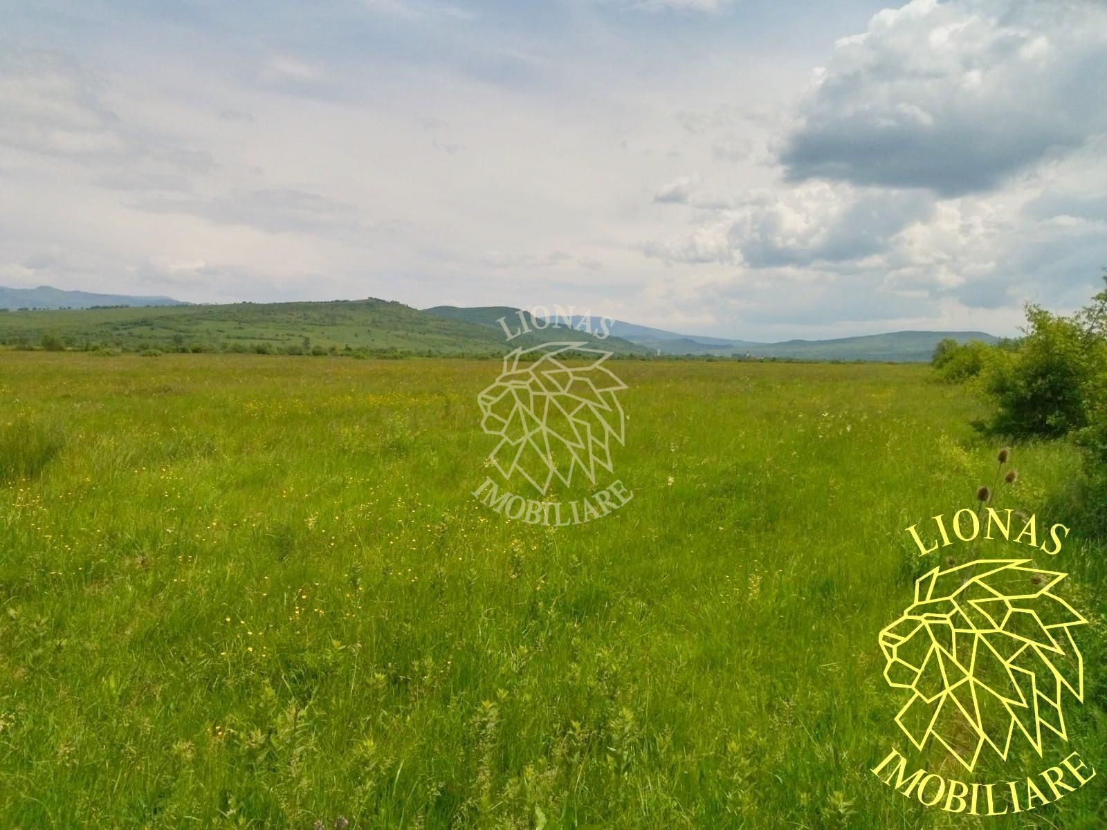 Teren 13100 mp-parcelabil-ideal cabana/agricultura-Orheiul Bistritei