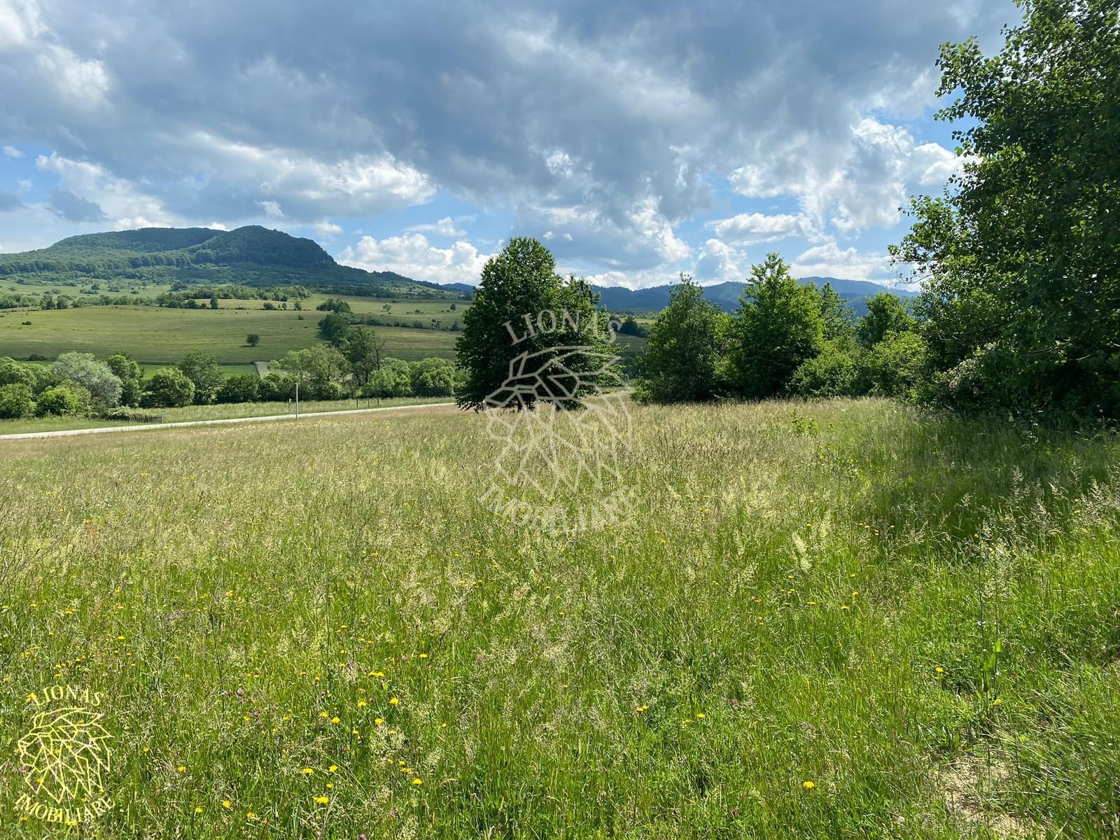 Teren 6500 mp-Lac-vedere panoramica-ideal cabana-Cusma