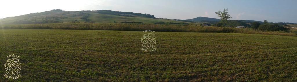 Teren 5500 mp-oportunitate investitie-pretabil cabana-Jelna