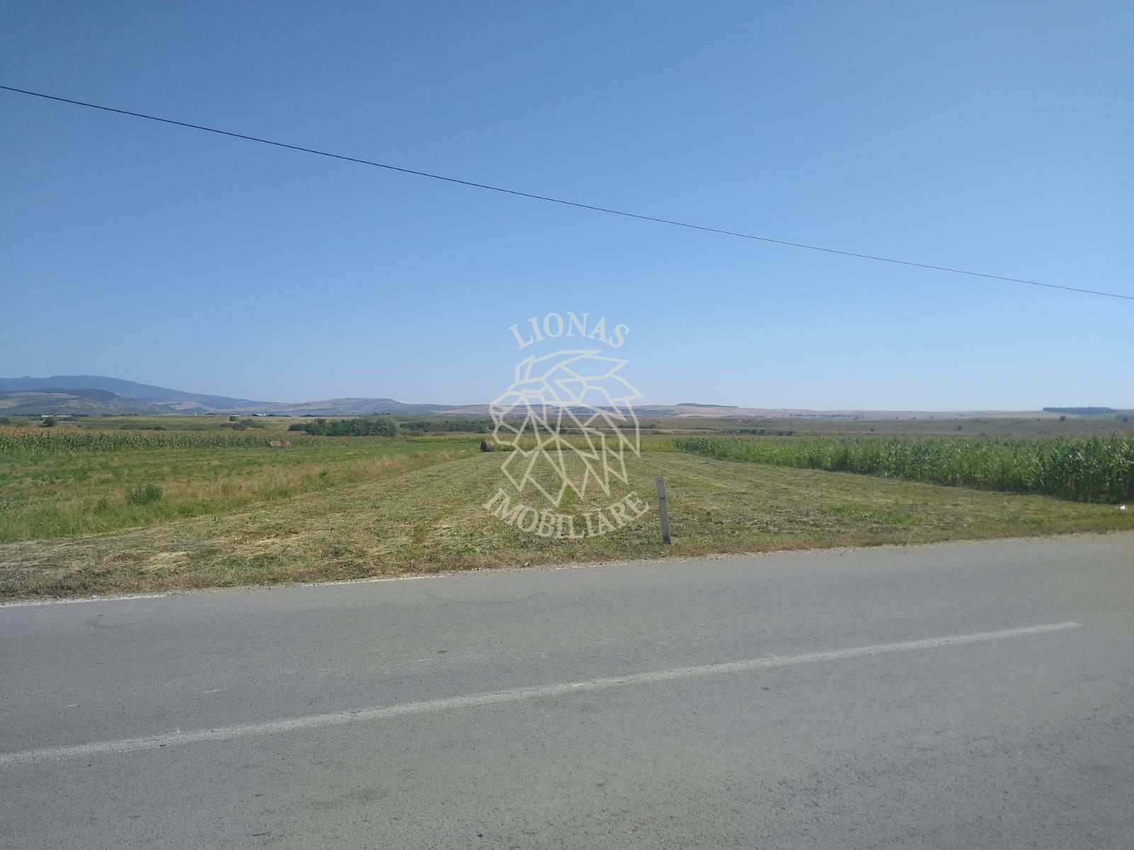 Teren 20000 mp (2 ha)-parcelabil-ideal cabane/agricultura/ferma-Jelna