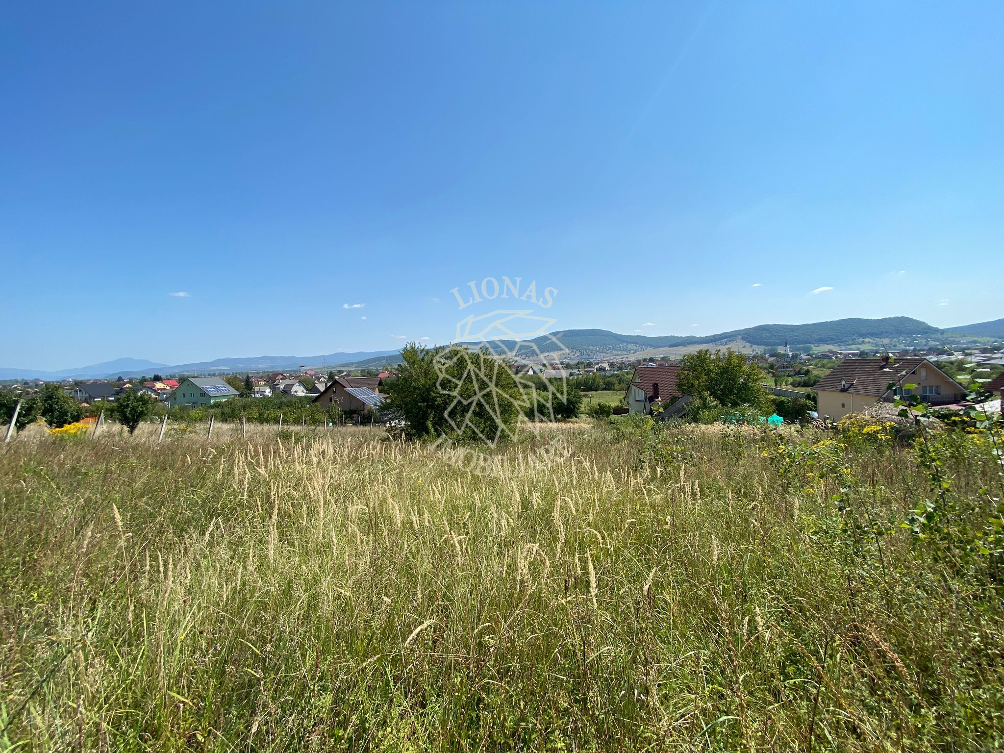 Teren intravilan 1300 mp-Viile cu Pomi-Unirea-Exclusiv