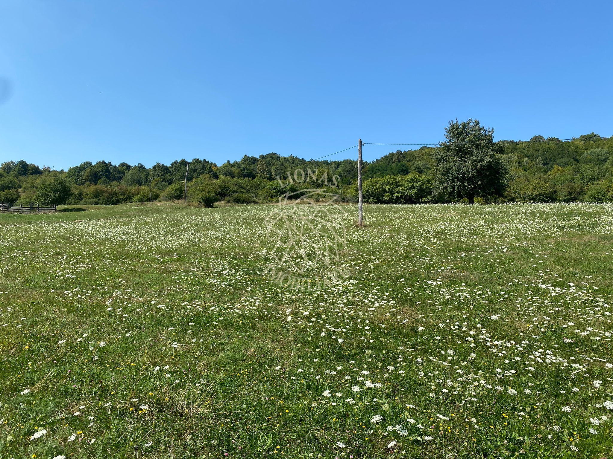 Teren 11.000 mp-ideal cabana/ferma-Unirea-Valea Slatinitei