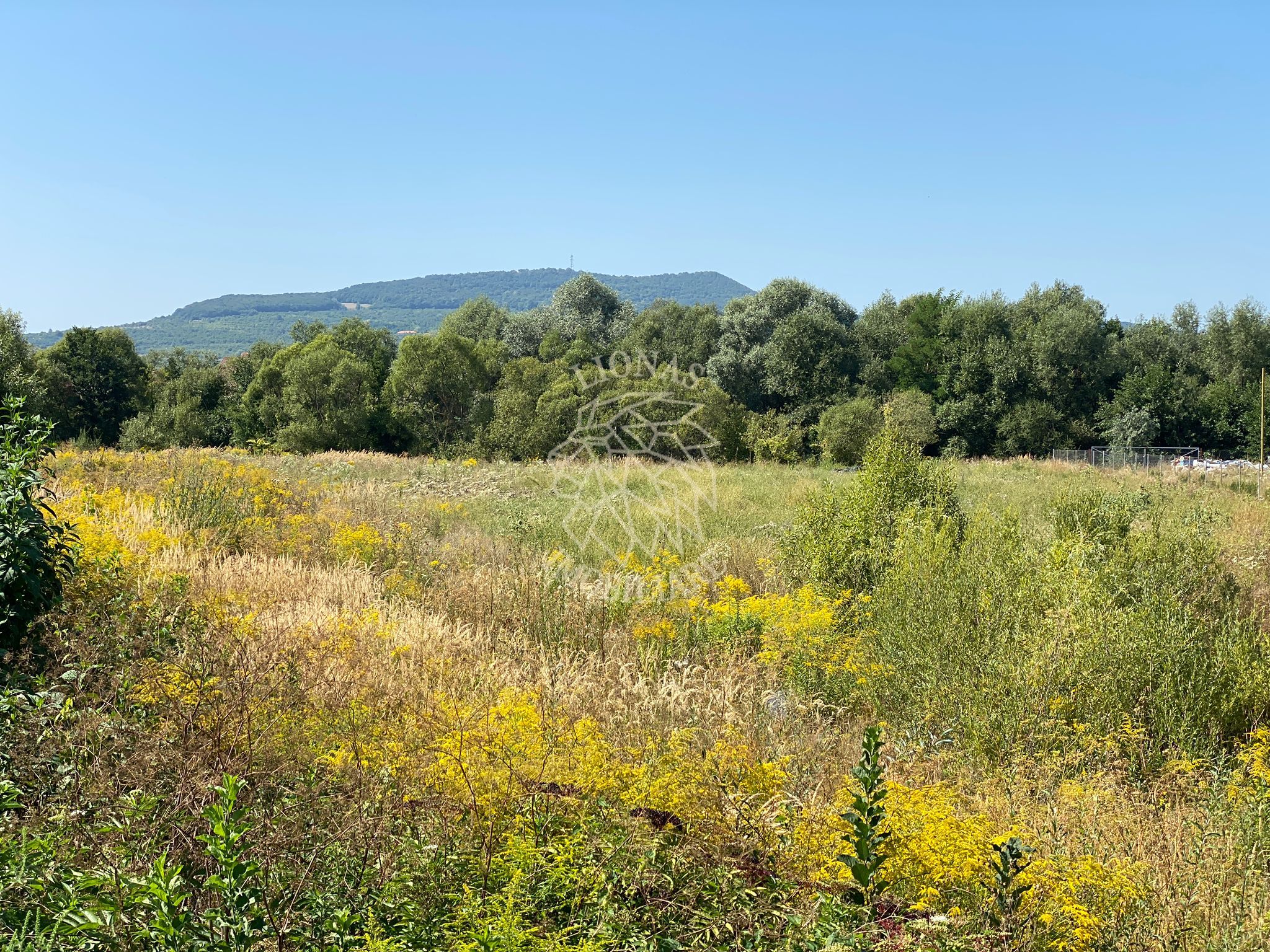 Teren 4100 mp - oportunitate investitie - Bistrita Zona Ranahum