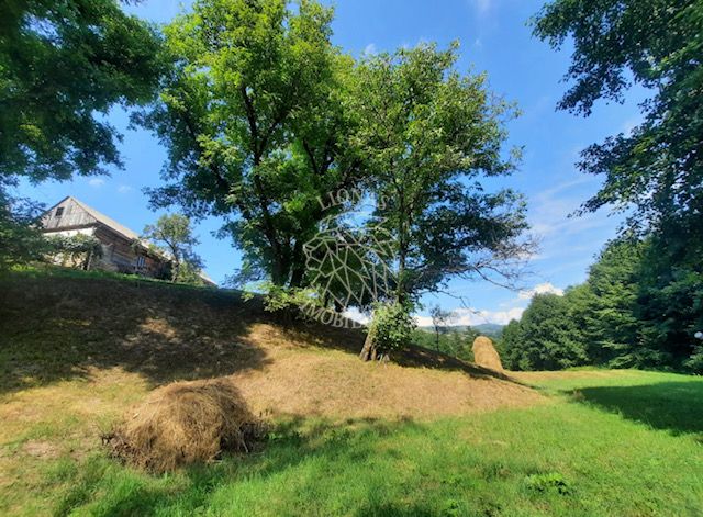 Teren 2.7ha- pretabil cabana/casa-Rebrisoara-EXCLUSIVITATE