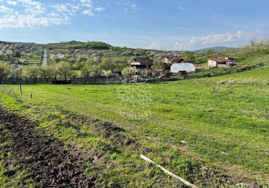 Teren 3300 mp-investitie, case de vacanta, agricultura-Valea Sigmirului