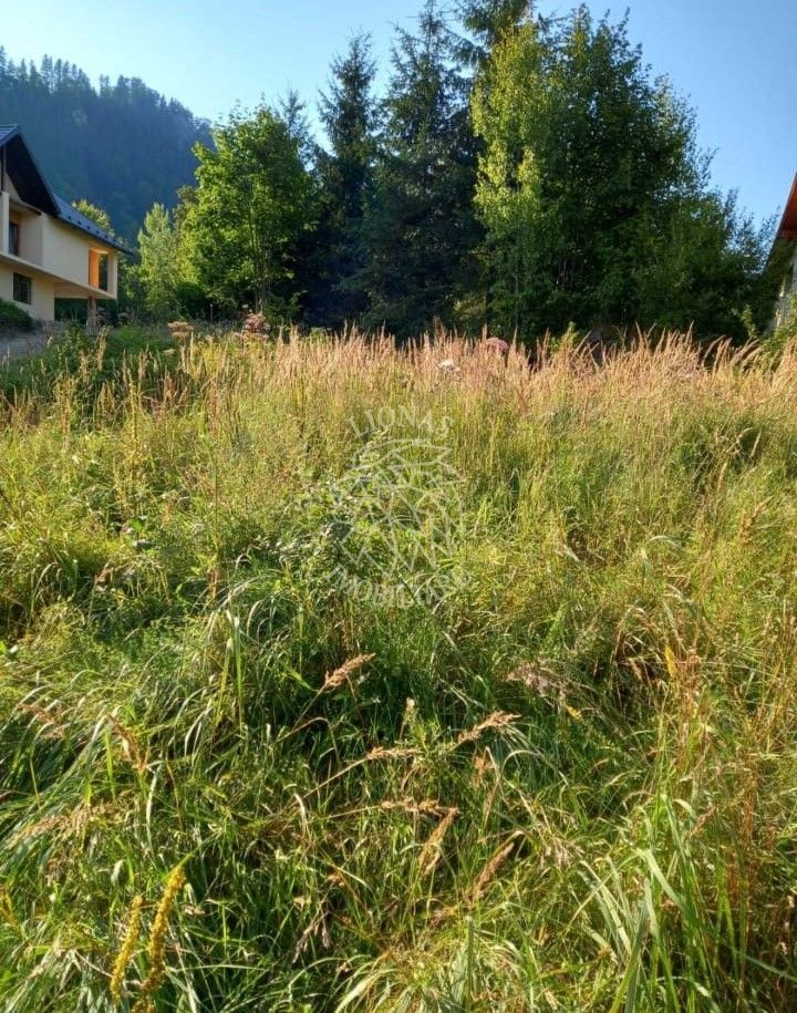 Teren intravilan 1615 mp-ideal cabane turism-Colibita, Oferta unica!