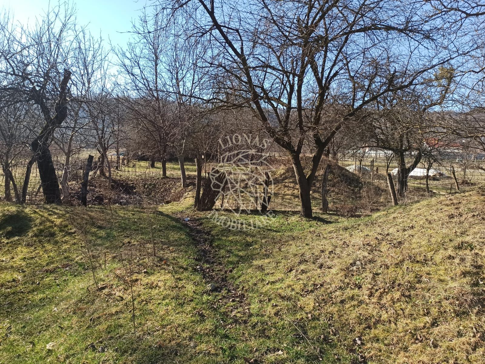 Casa 4 camere-teren 2410 mp-grajd-sura-fanar-magazie-Prundu Bargaului