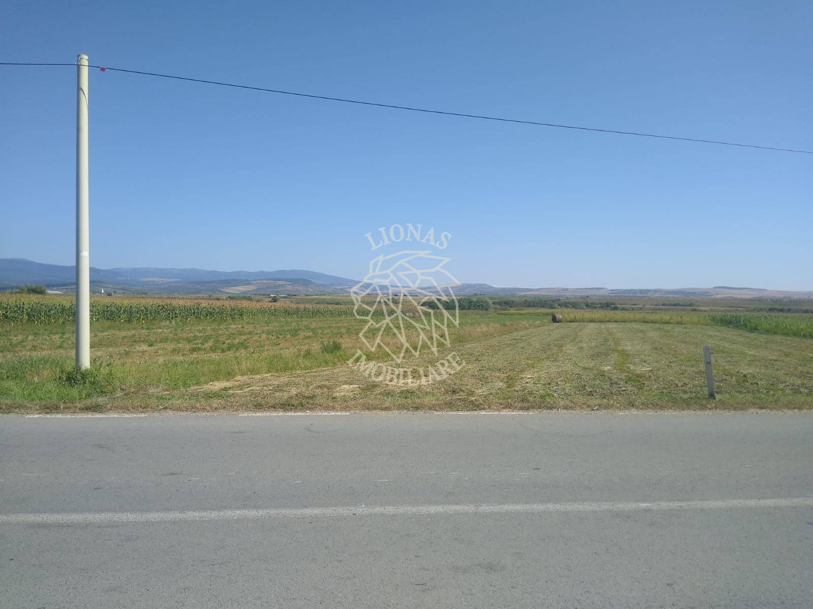 Teren 2000 mp-ideal cabana, agricultura, investitie - Jelna