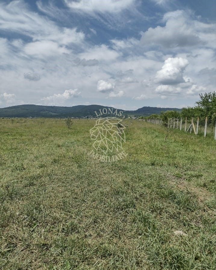 Teren 23700 mp (2,37 ha)-ideal investitie,cabana-Sesul Jelnei