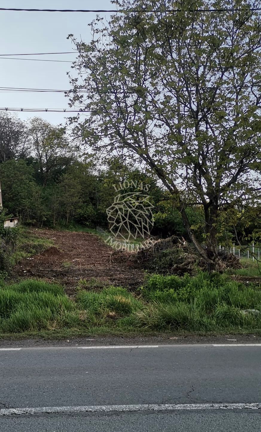 Teren intravilan 1000 mp-ideal casă de locuit, investitie-Zona Centura