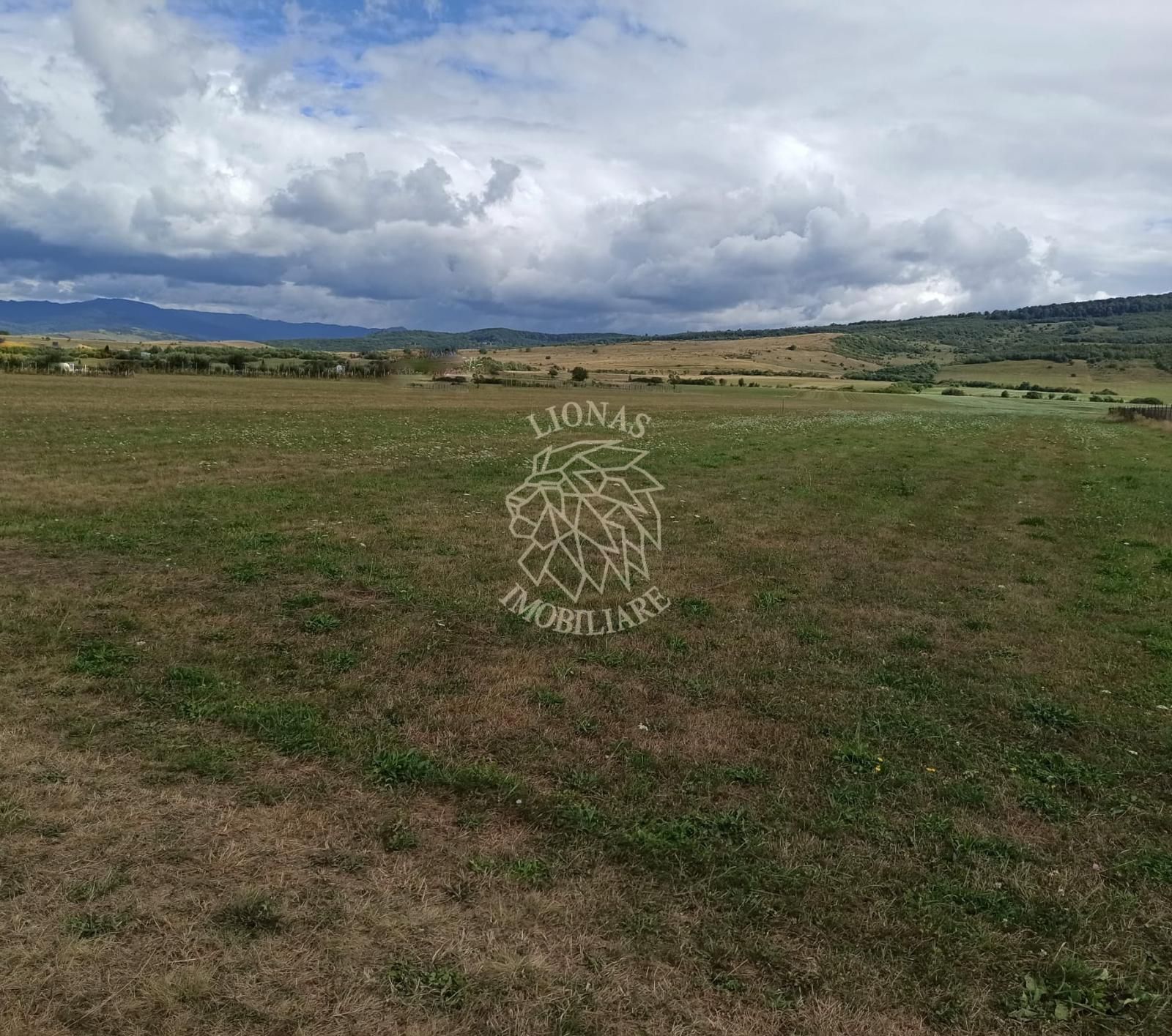 Teren intravilan 5217 mp cu utilitati-ideal case-Livezile