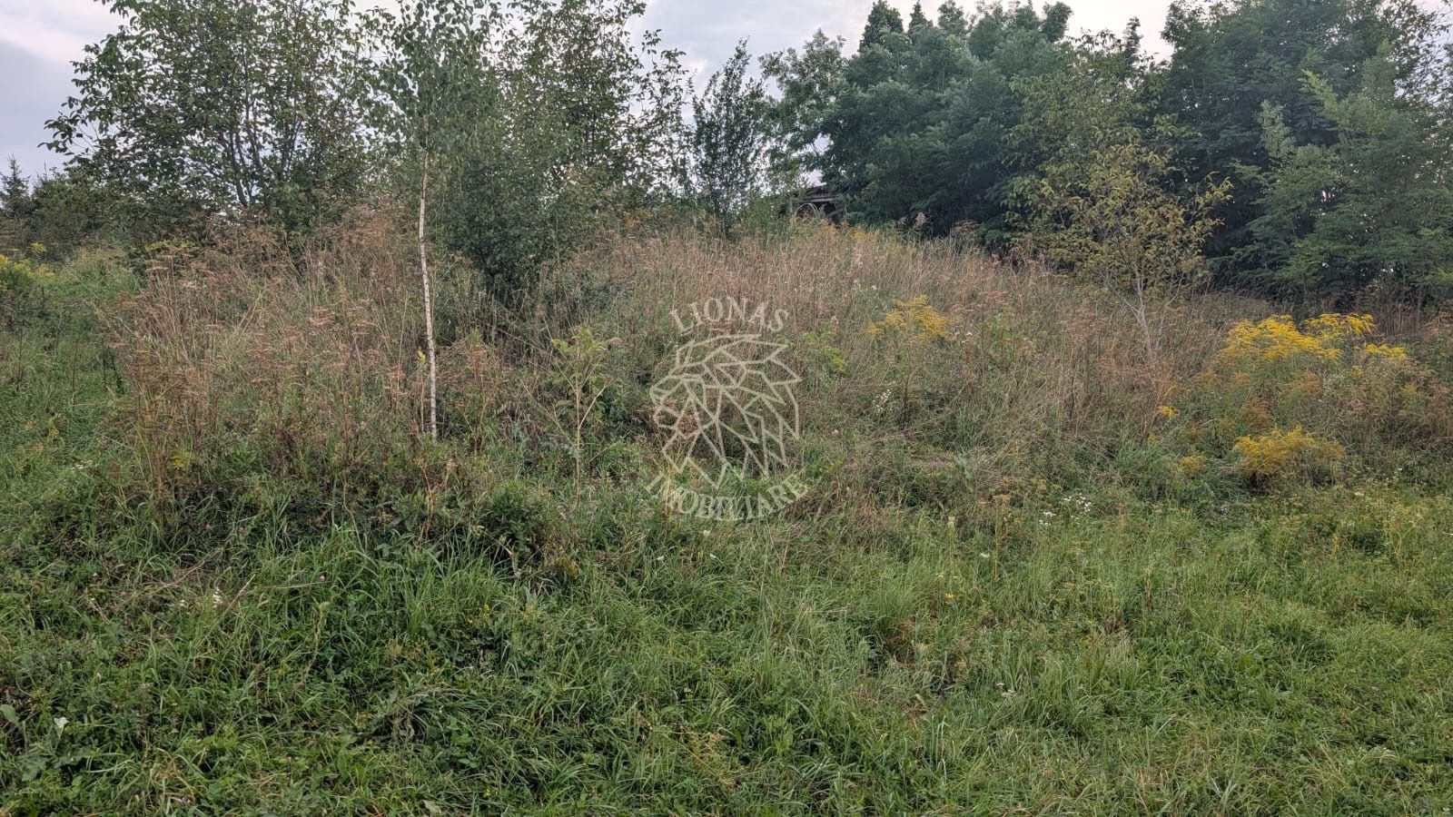 Teren intravilan 500 mp+cota drum -ideal casa P+2E-Zona Zavoaie