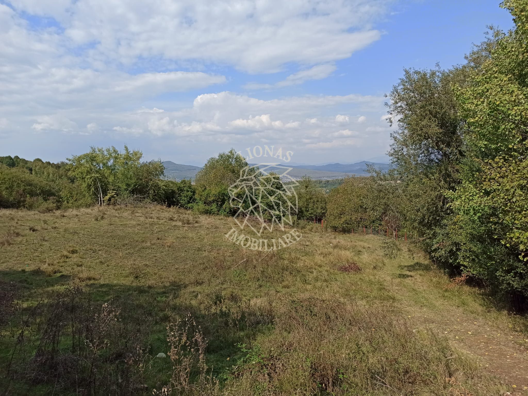 Teren  42,200 mp (4,22 hectare)-Parcelabil-investitie-Valea Jelnei