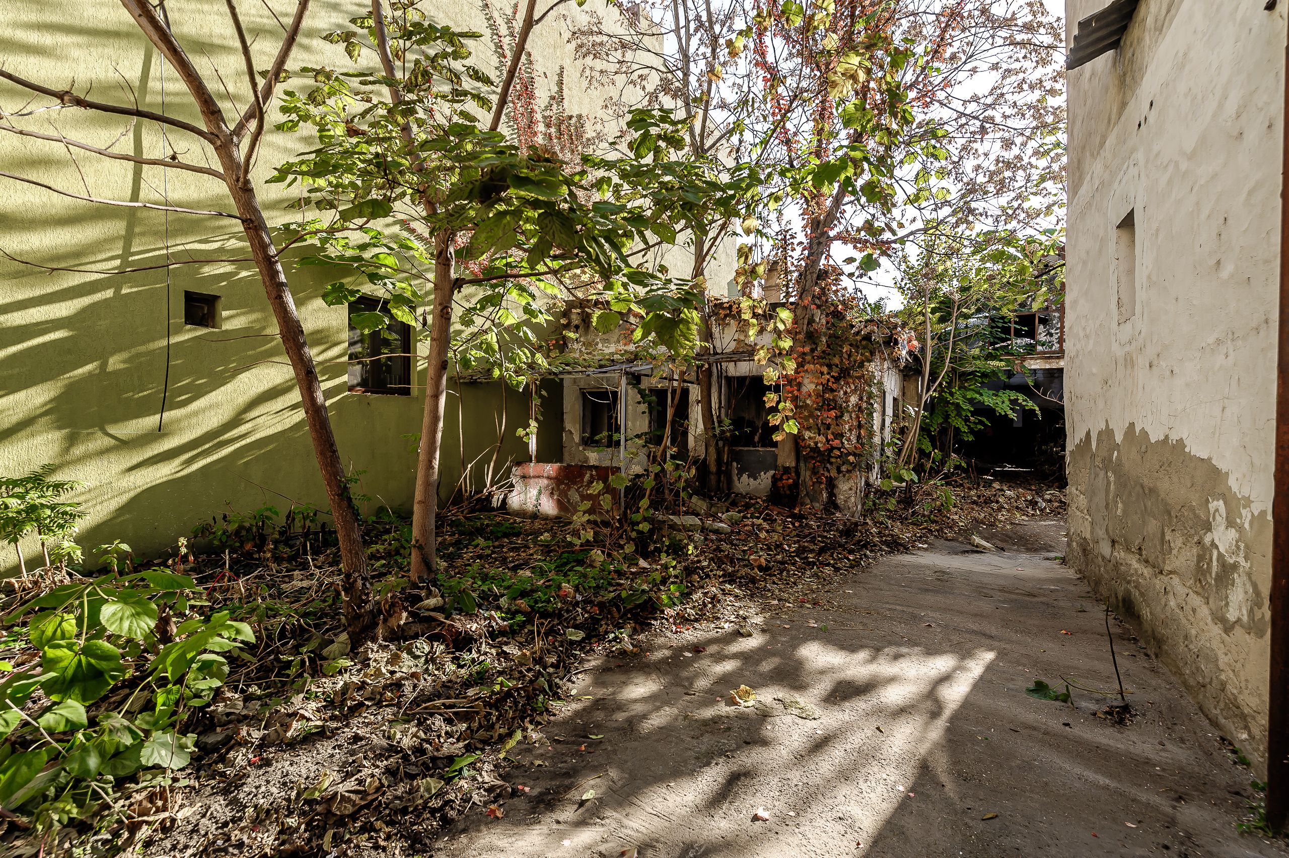 Teren de 439mp pe str. Unirii — fotografia 6