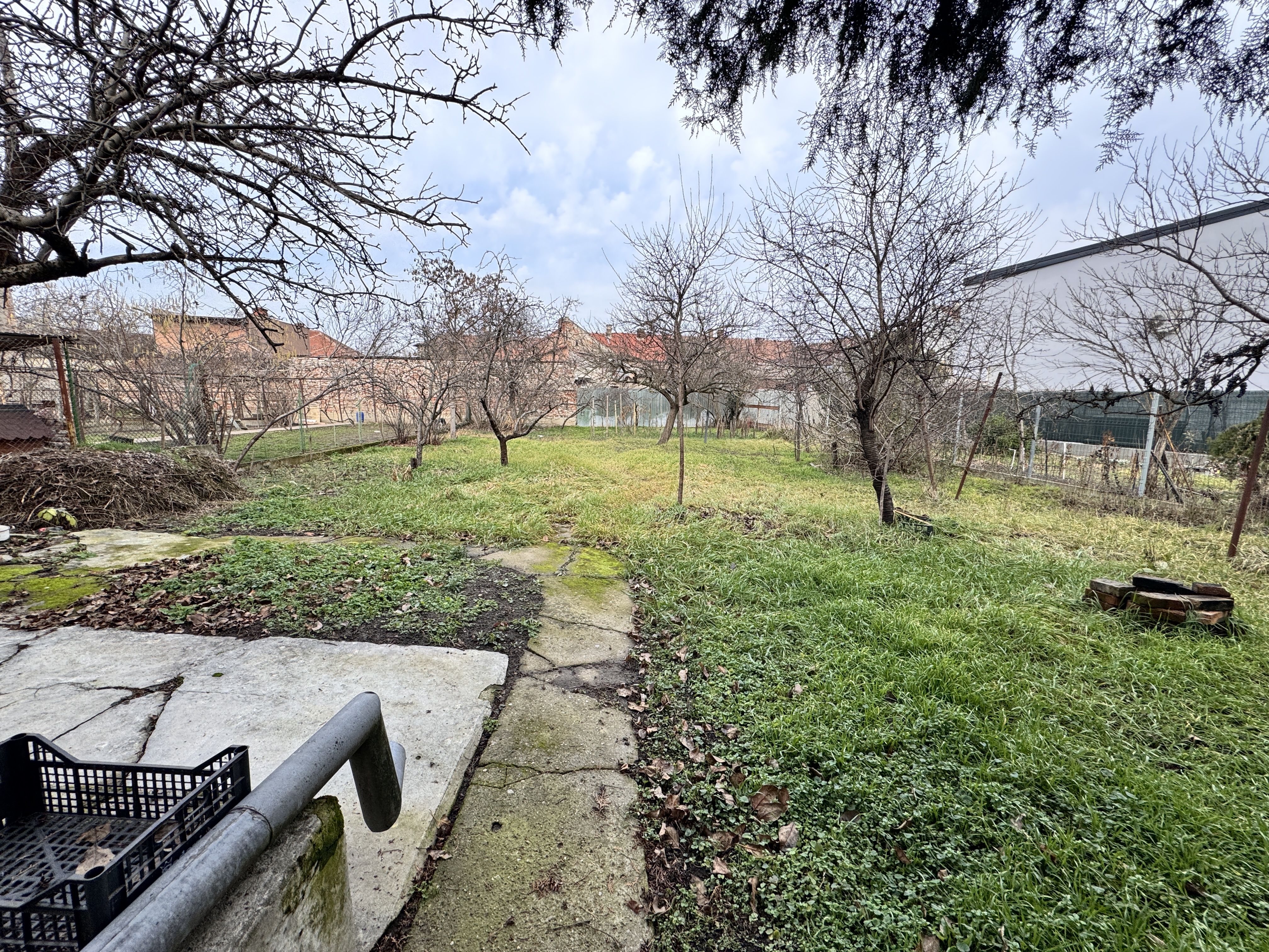 Miniatură 15