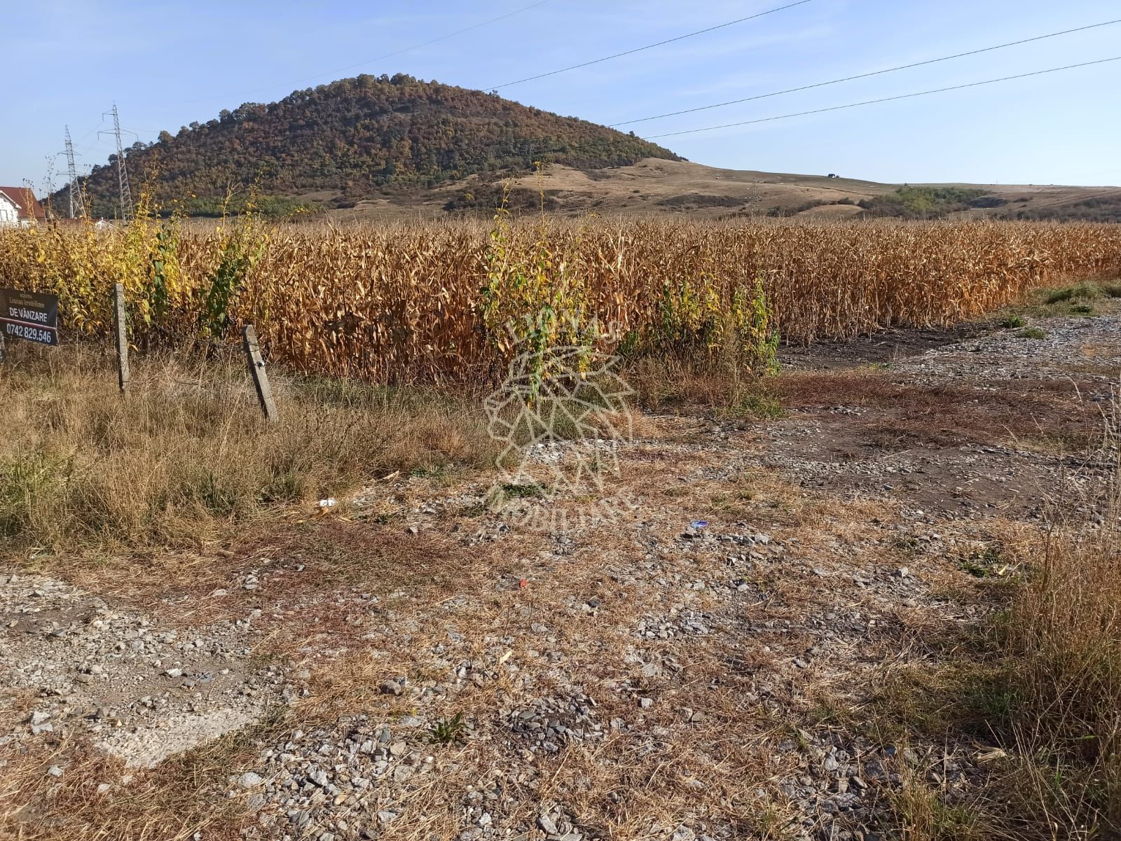 Teren 4606 mp-ideal investitie-Sarata