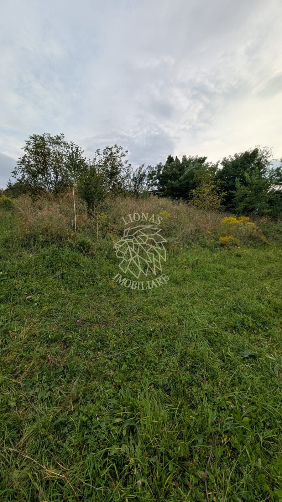 Teren intravilan 1000 mp cu utilitati-ideal casa-Zona Zavoaie