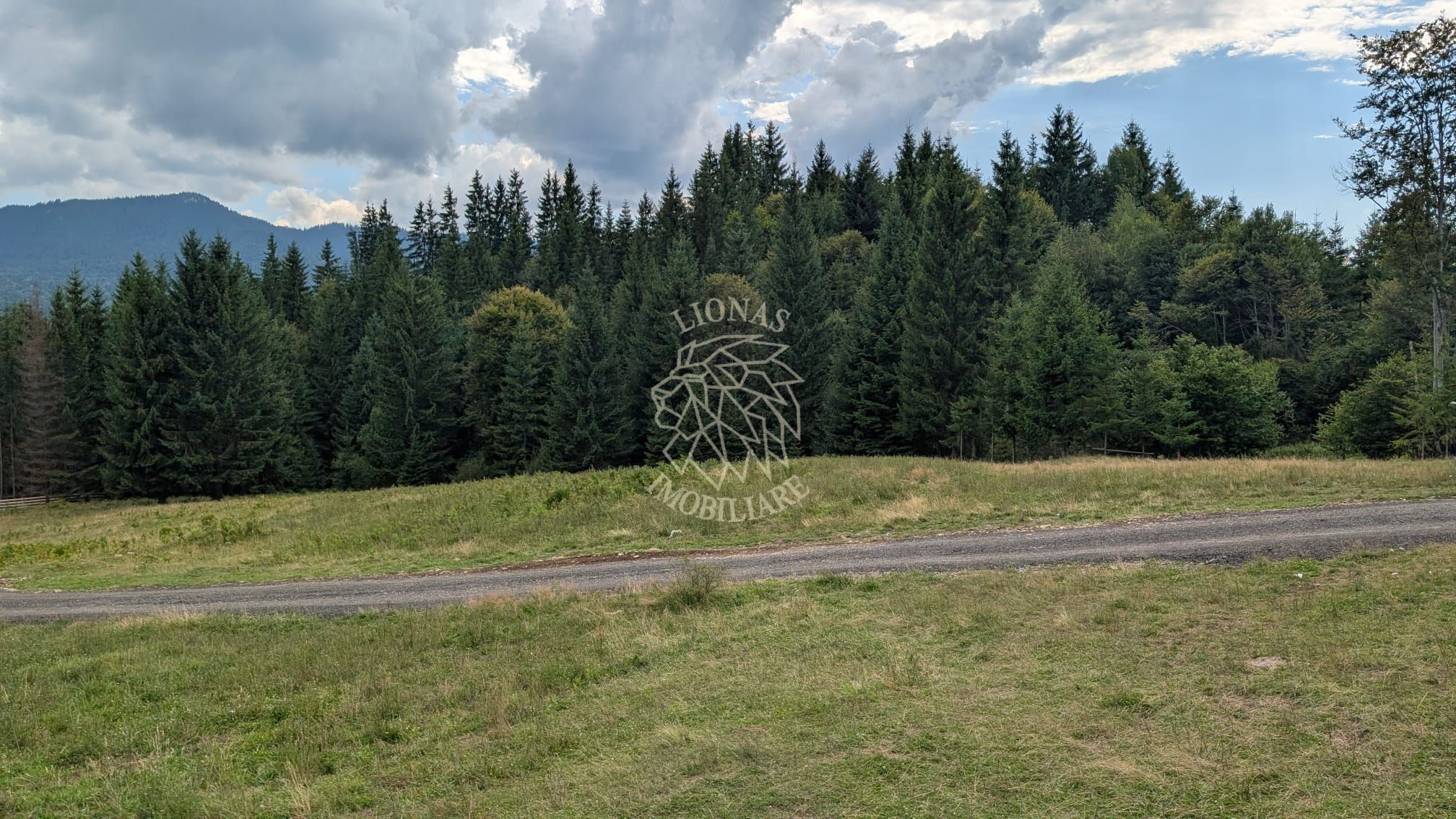 OFERTA! Teren intravilan 785 mp cu utilitati-ideal cabana-Colibita