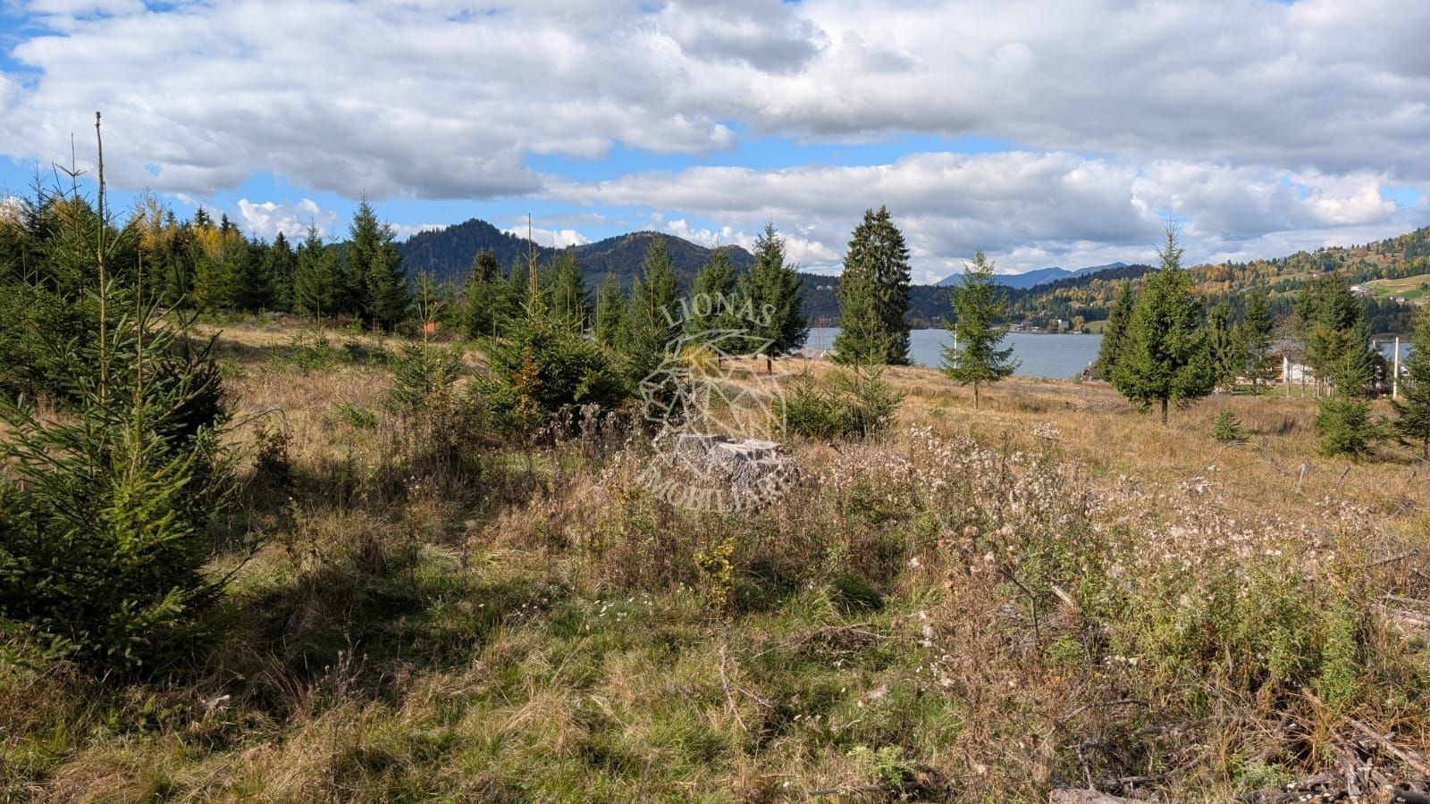 Parcele 800-1000 mp intravilan-350m distanta fata de Lac Colibita