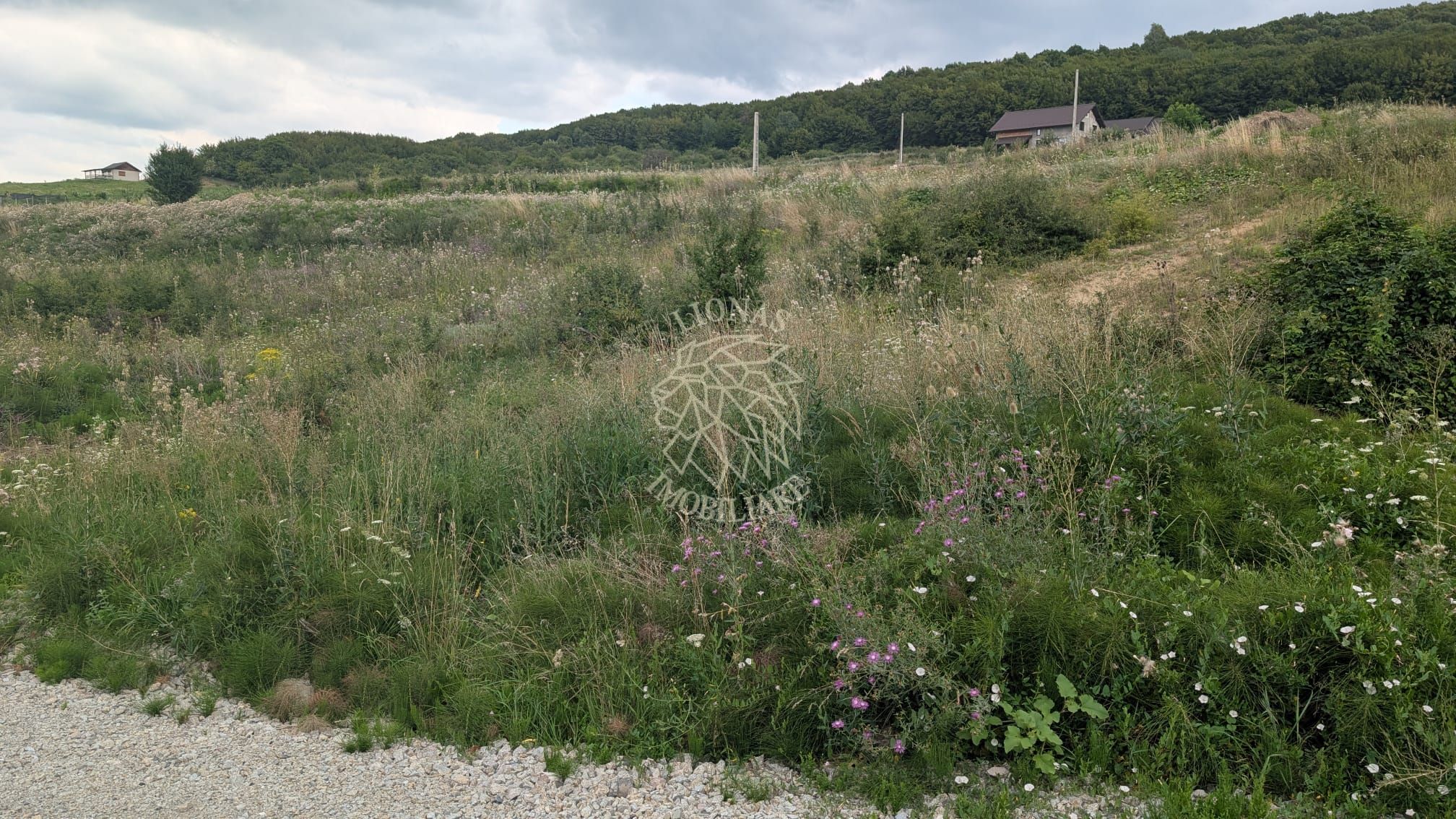 Teren 1000 mp cu utilitati-ideal casa, cabana, investitie-Dealul Jelnei