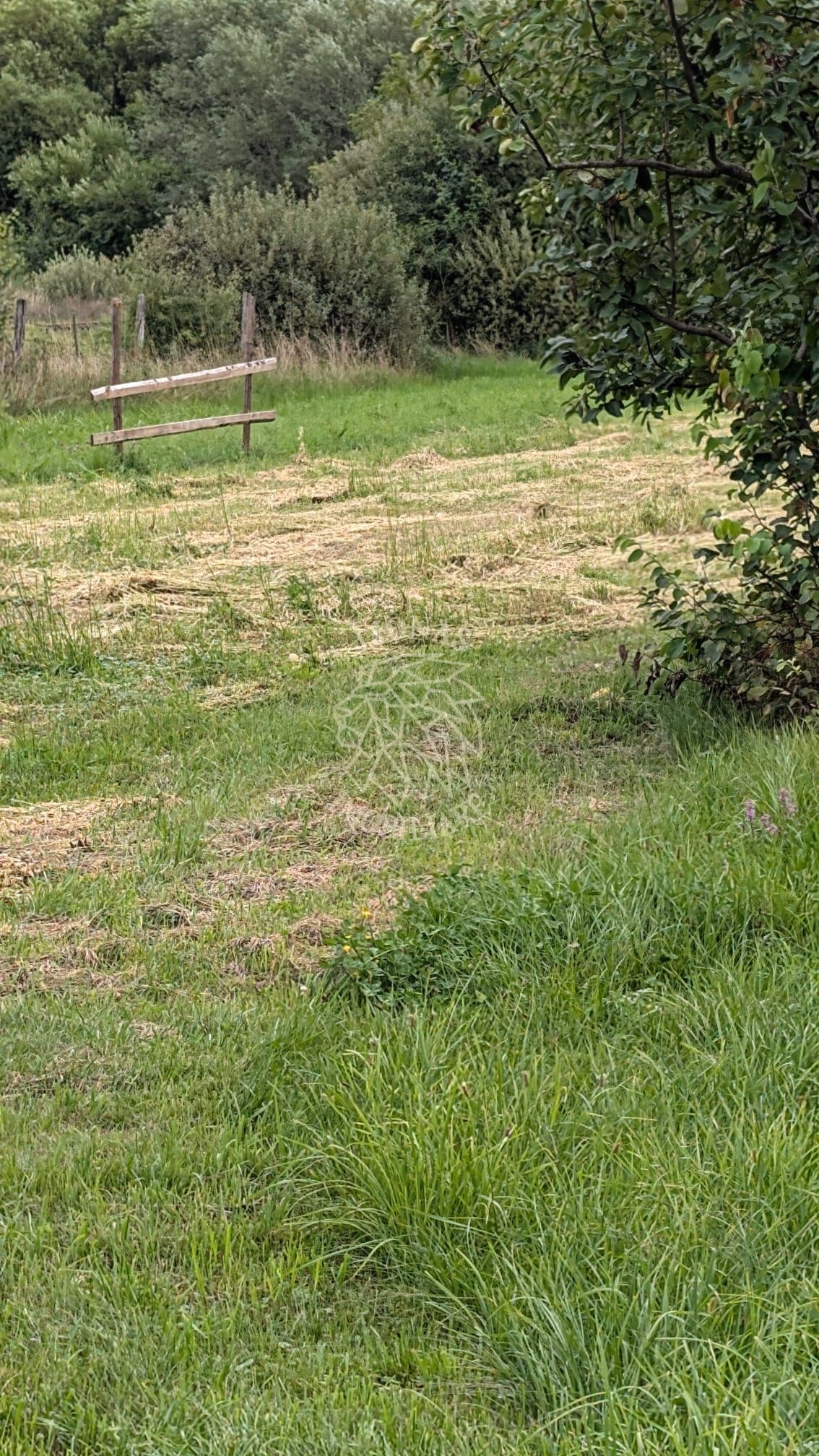 Teren intravilan 500 mp cu utilitati-ideal casa-Bistrita Bargaului