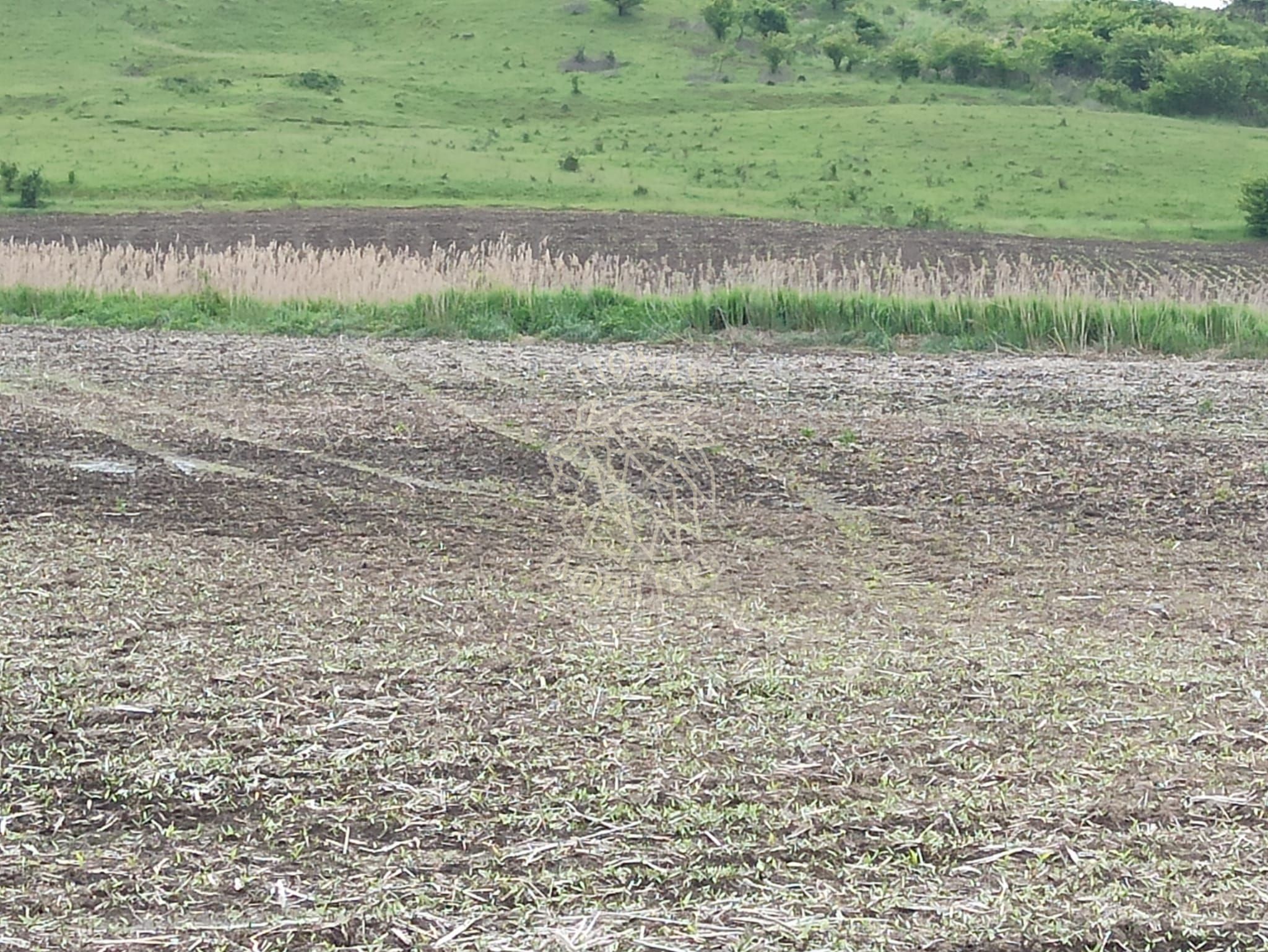 Teren intravilan 1000 mp cu utilitati-ideal casa P+2E-Sarata