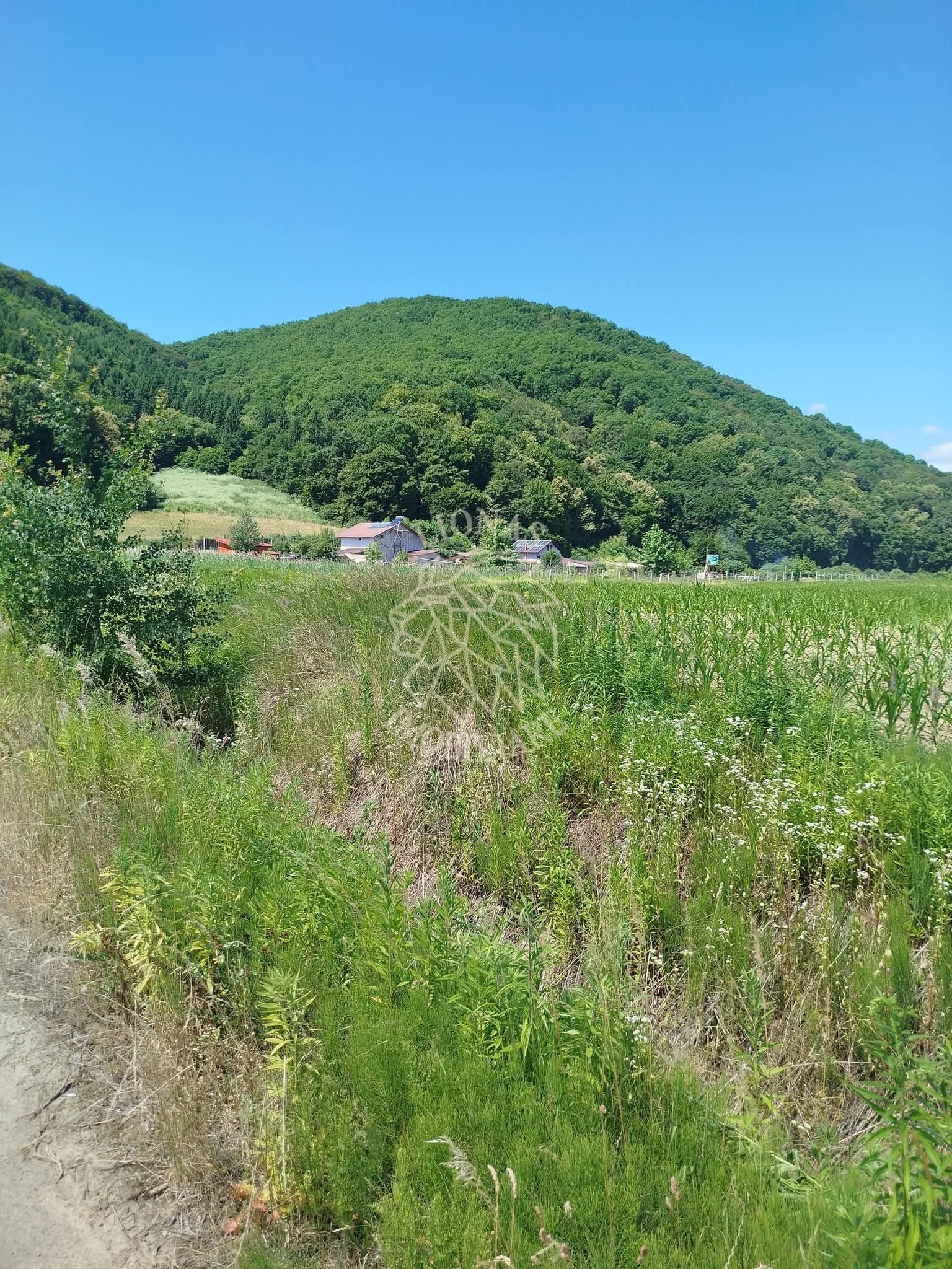 Teren 2500 mp-ideal casa, agricultura, investitie-Saratel