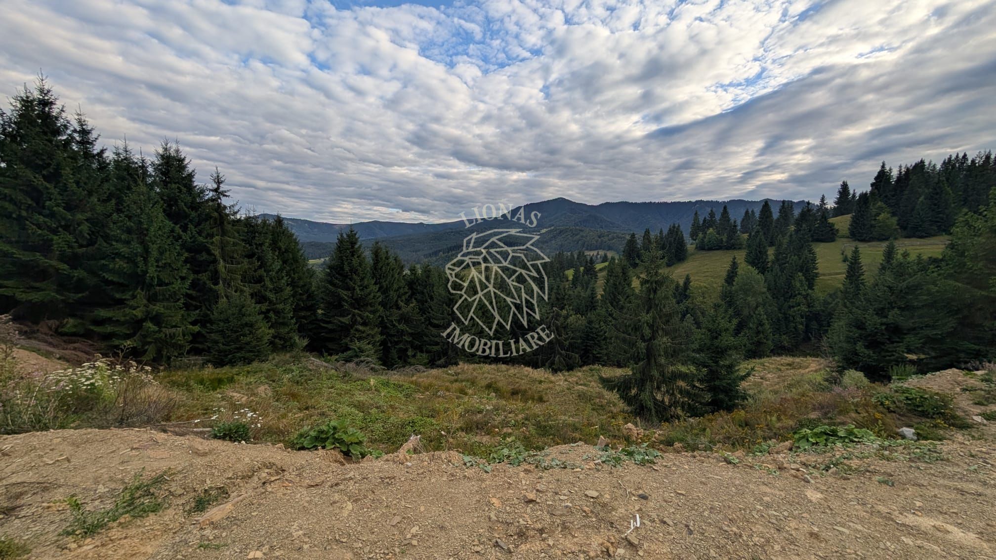 Parcele teren intravilan cu utilitati-panoramic-Colibita