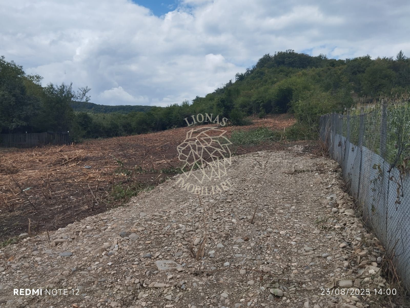 Teren 1200 mp-pretabil casa si gradina-Viisoara