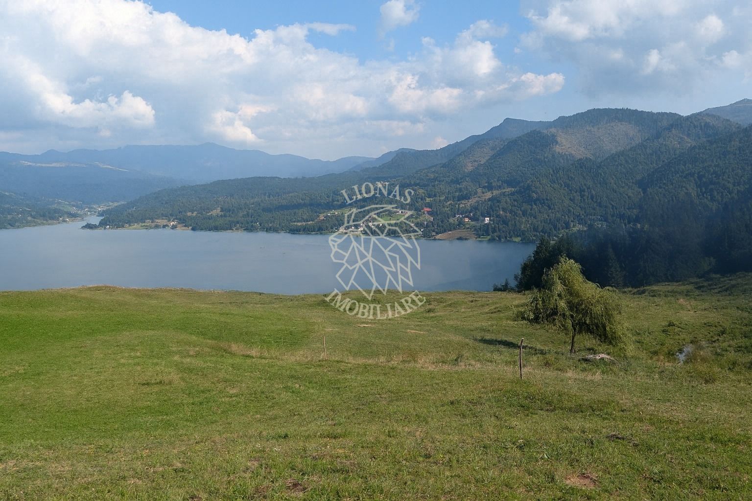 Teren intravilan 700 mp cu utilitati-ideal cabana, investitie-Colibita