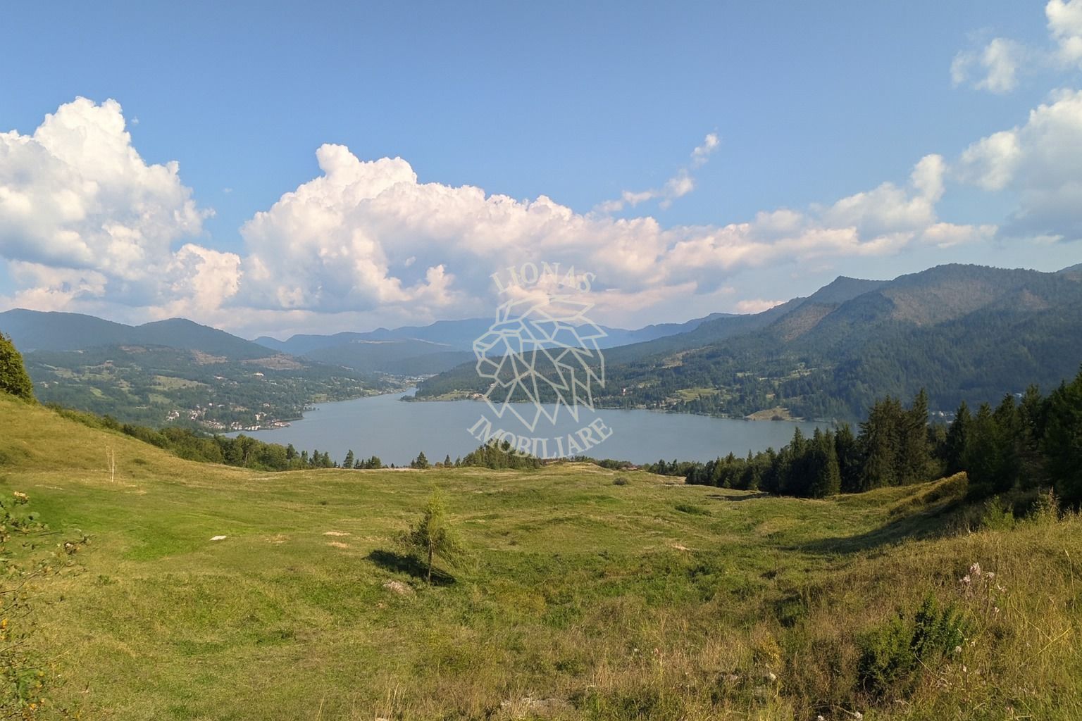 Oportunitate!Teren intravilan 61.38400mp-Parcelabil-utilitati-Colibita