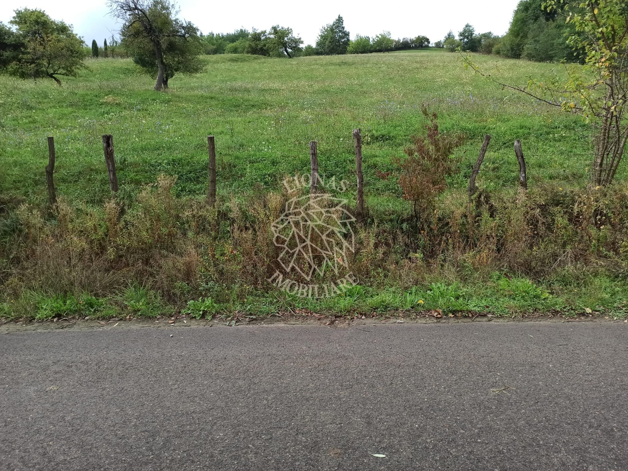 Teren intravilan 12600 mp-utilitati-ideal case, investitie-Livezile