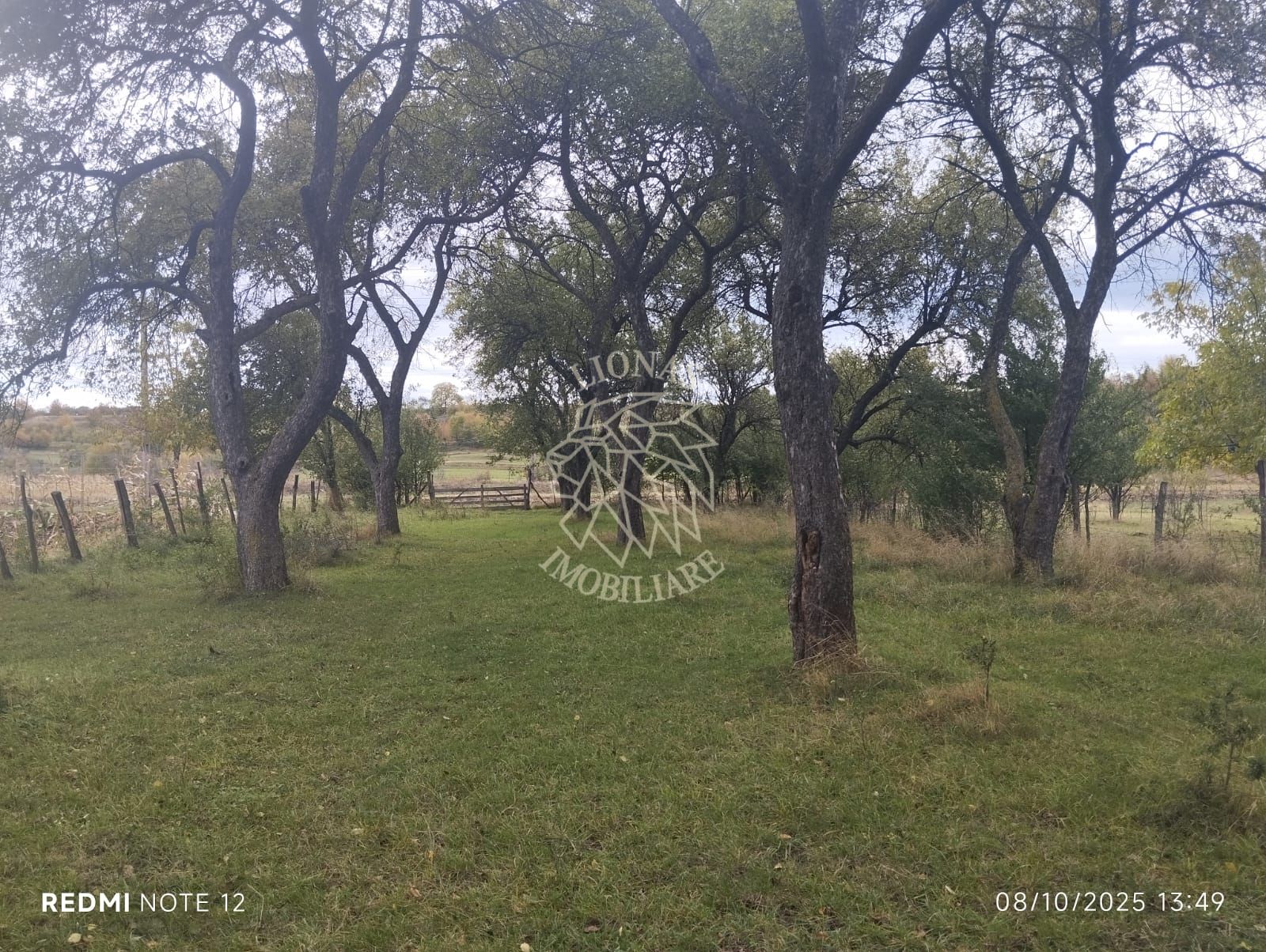 Teren intravilan 1500 mp-ideal casa-Mijlocenii Bargaului