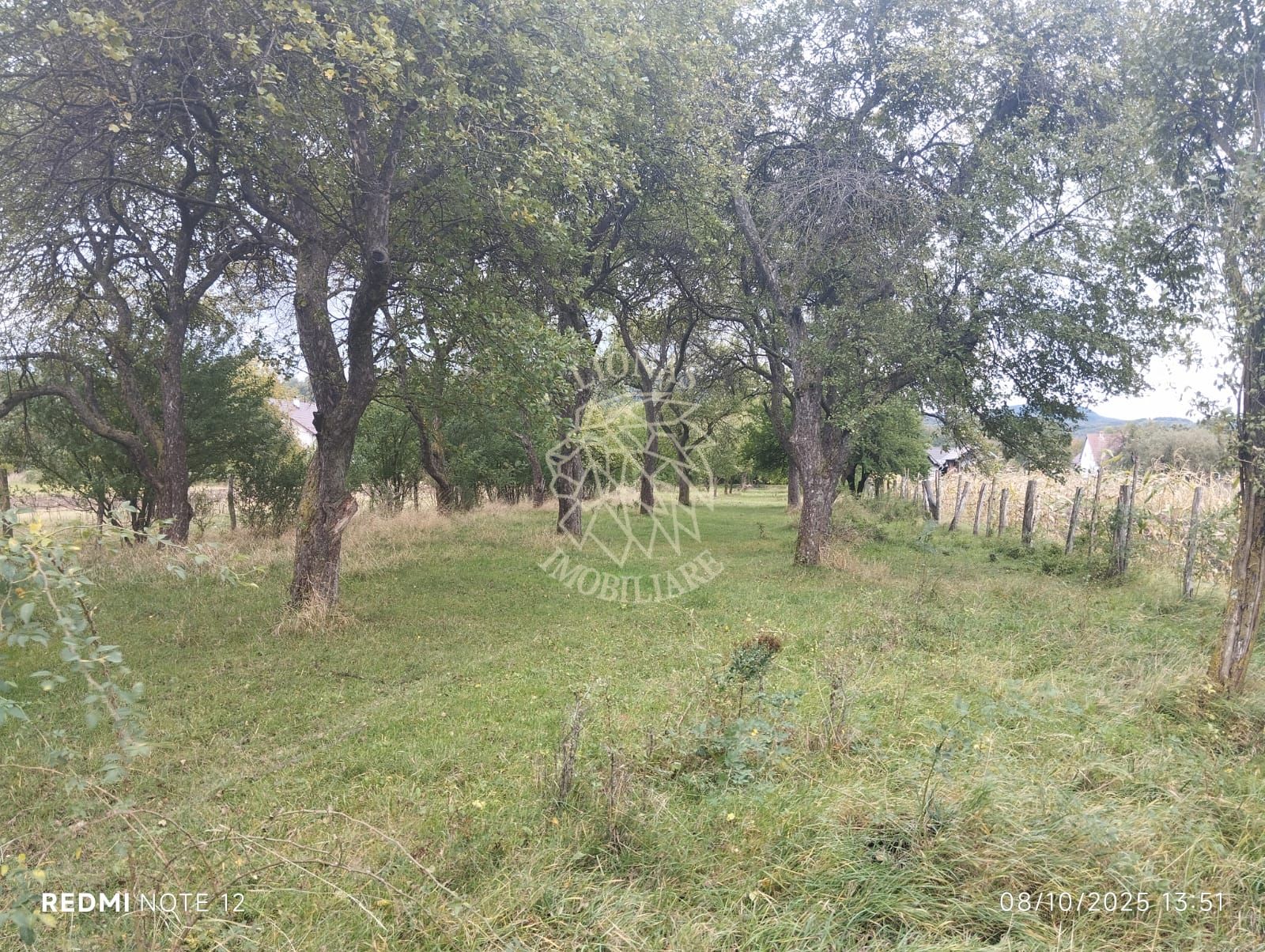 Teren intravilan 2500 mp-utilitati-ideal casa-Mijlocenii Bargaului