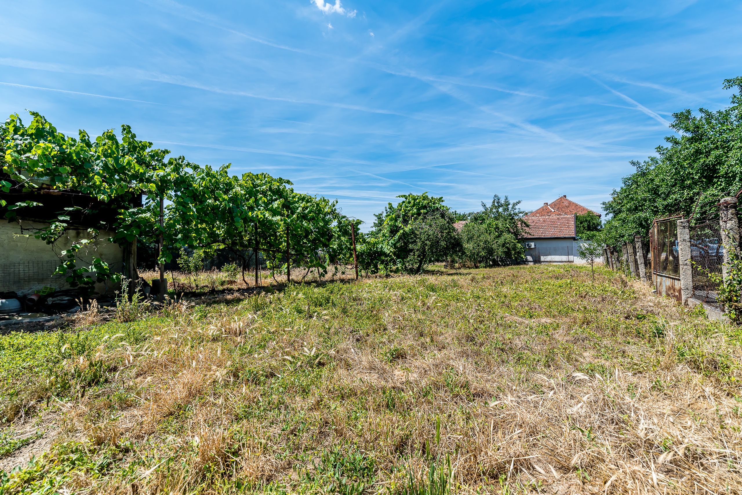 Casă cu teren 1018 mp și 2 fronturi stradale- Bujac — fotografia 4