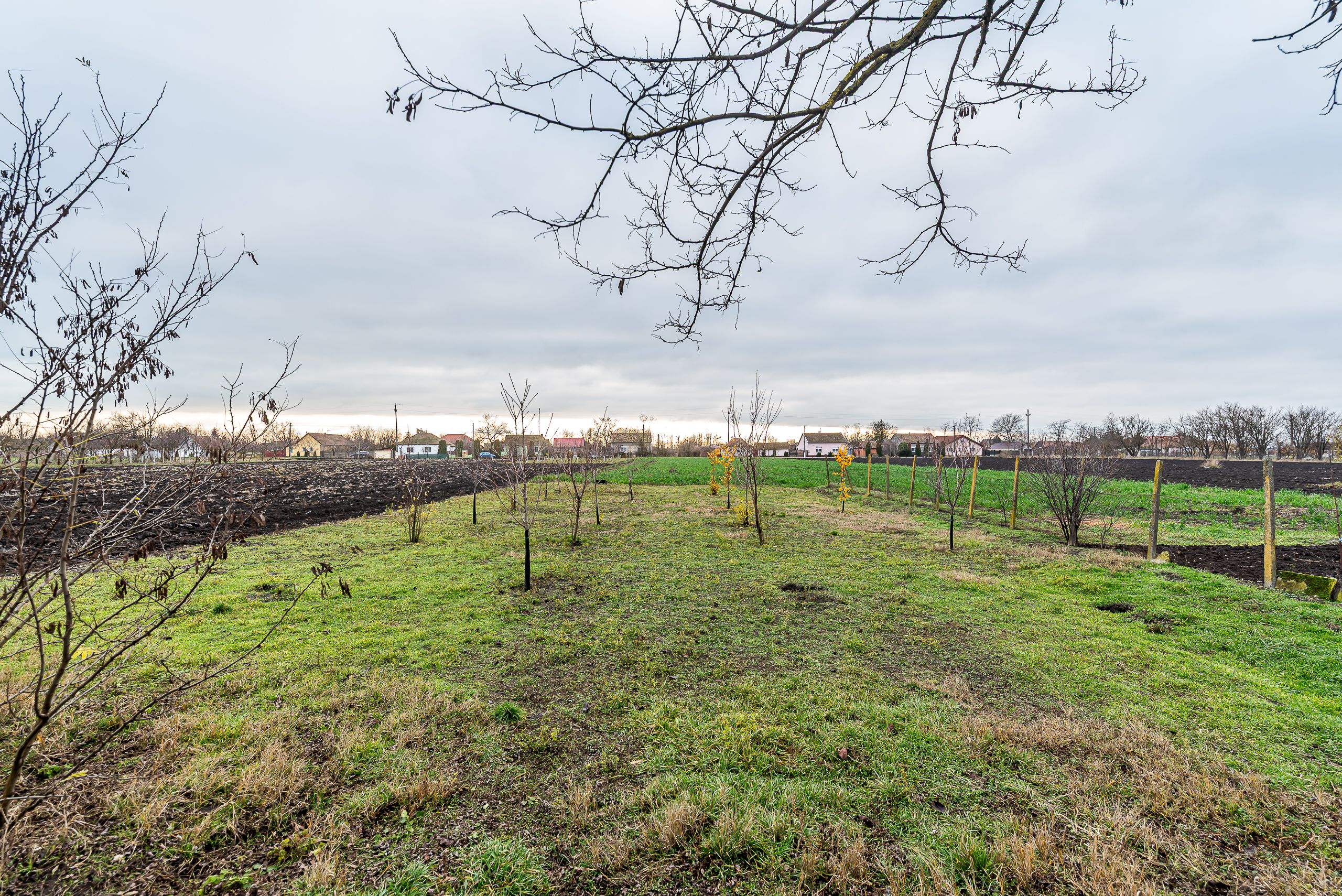 Casă în Dorobanți / 2 fronturi stradale — fotografia 5