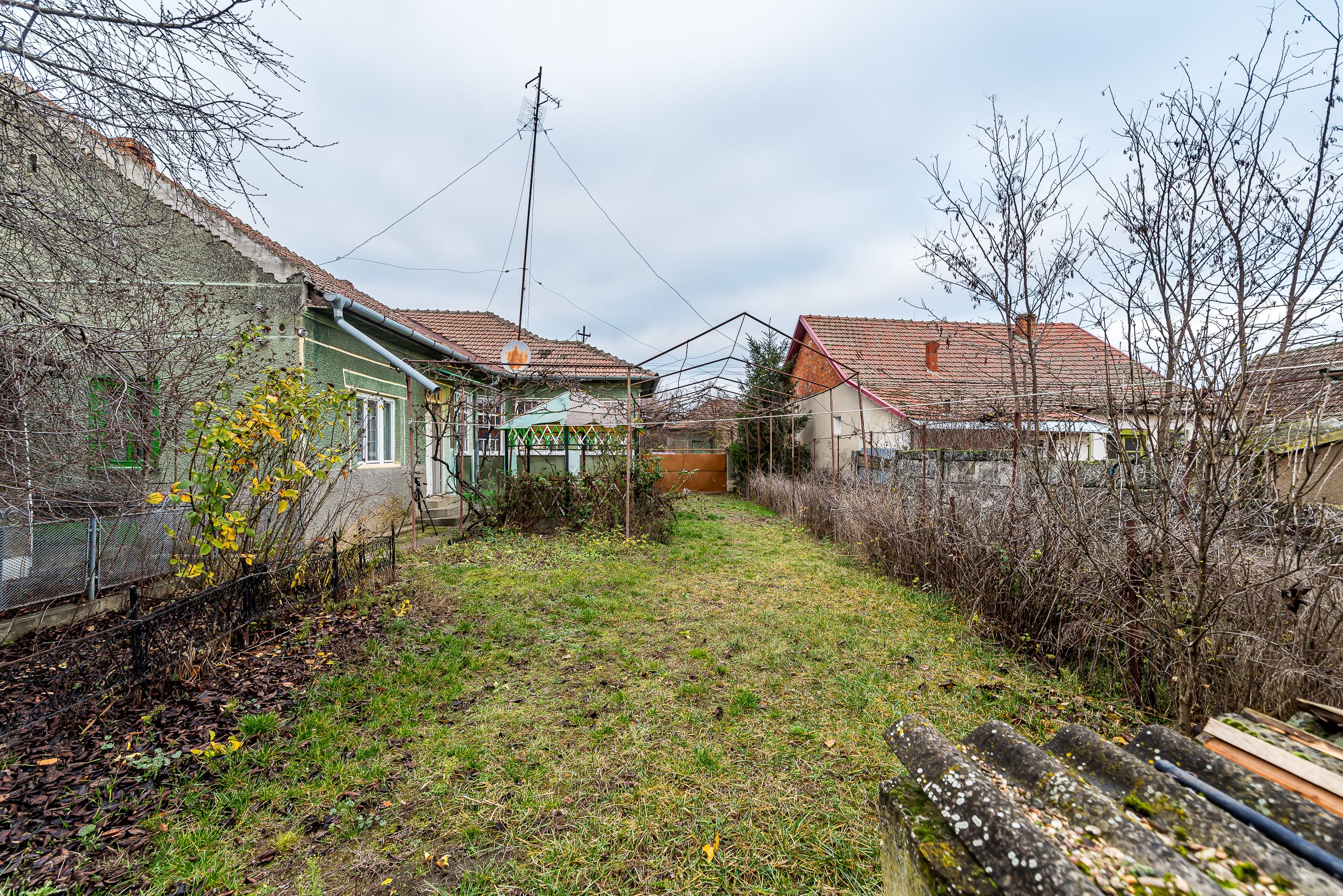 Comuna Dorobanți | Casă și livadă — fotografia 11