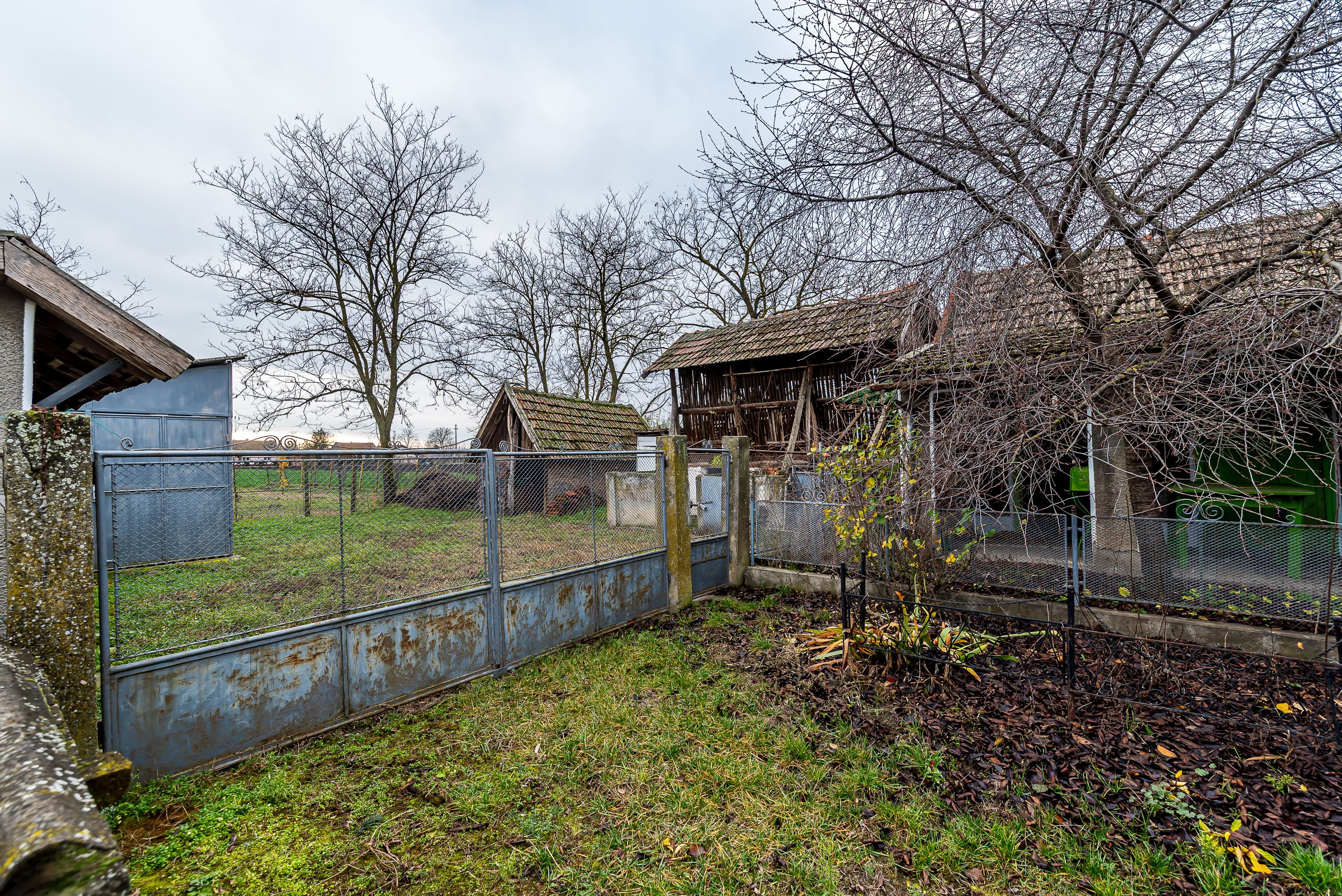 Un domeniu rural, definit prin spațiu și libertate în Dorobanți — fotografia 11