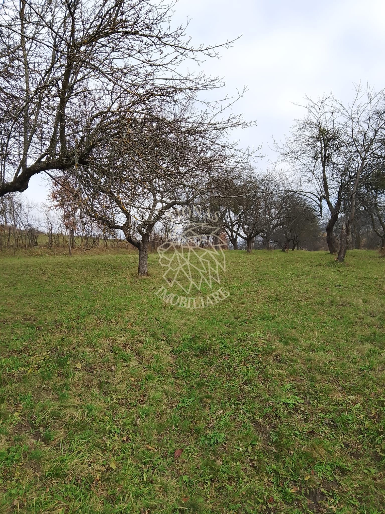 Teren 3966 mp-2 deschideri-curent-investitie-Budacu de Sus