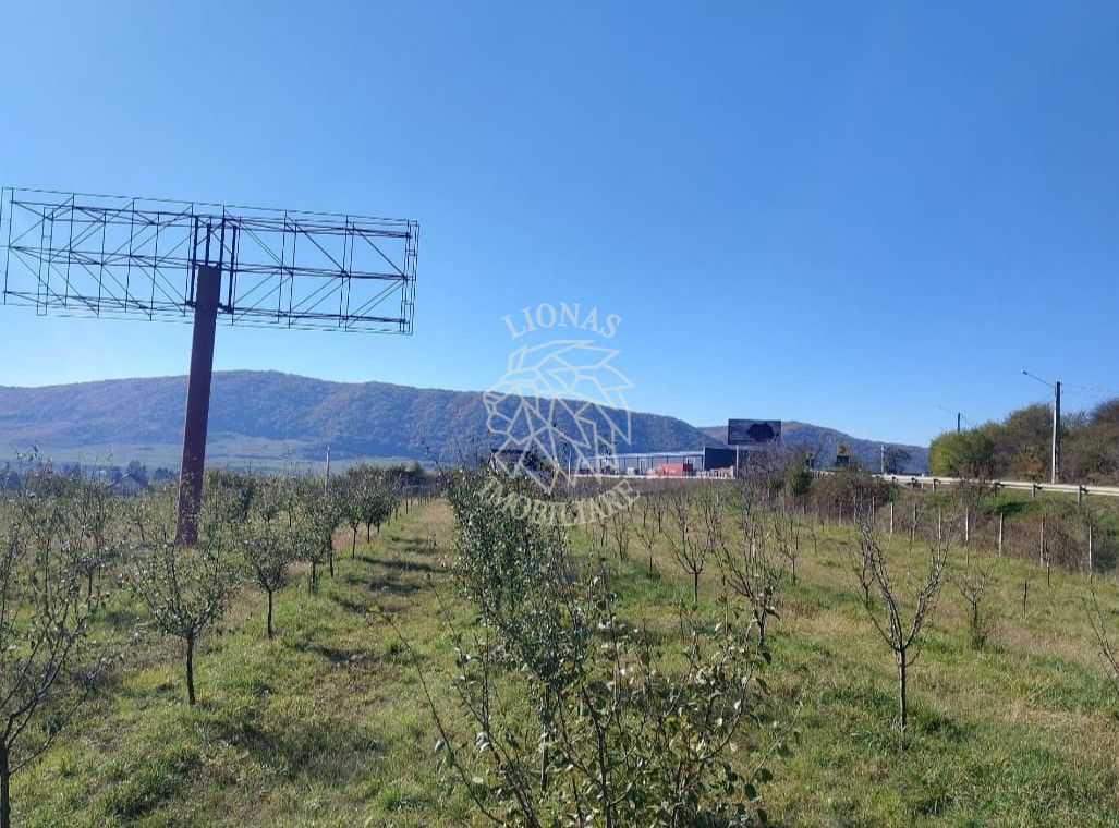 Teren intravilan 1,23 Ha la DN17 cu utilitati-livada-Crainimat